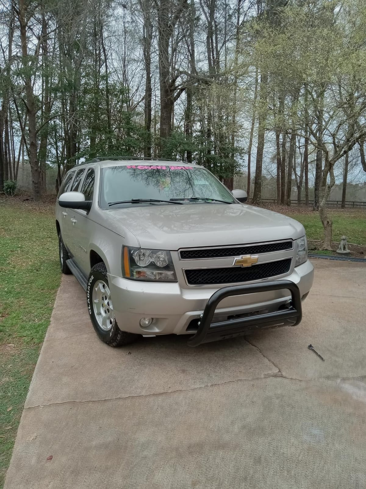 Bull Bar Pickup Truck 3
