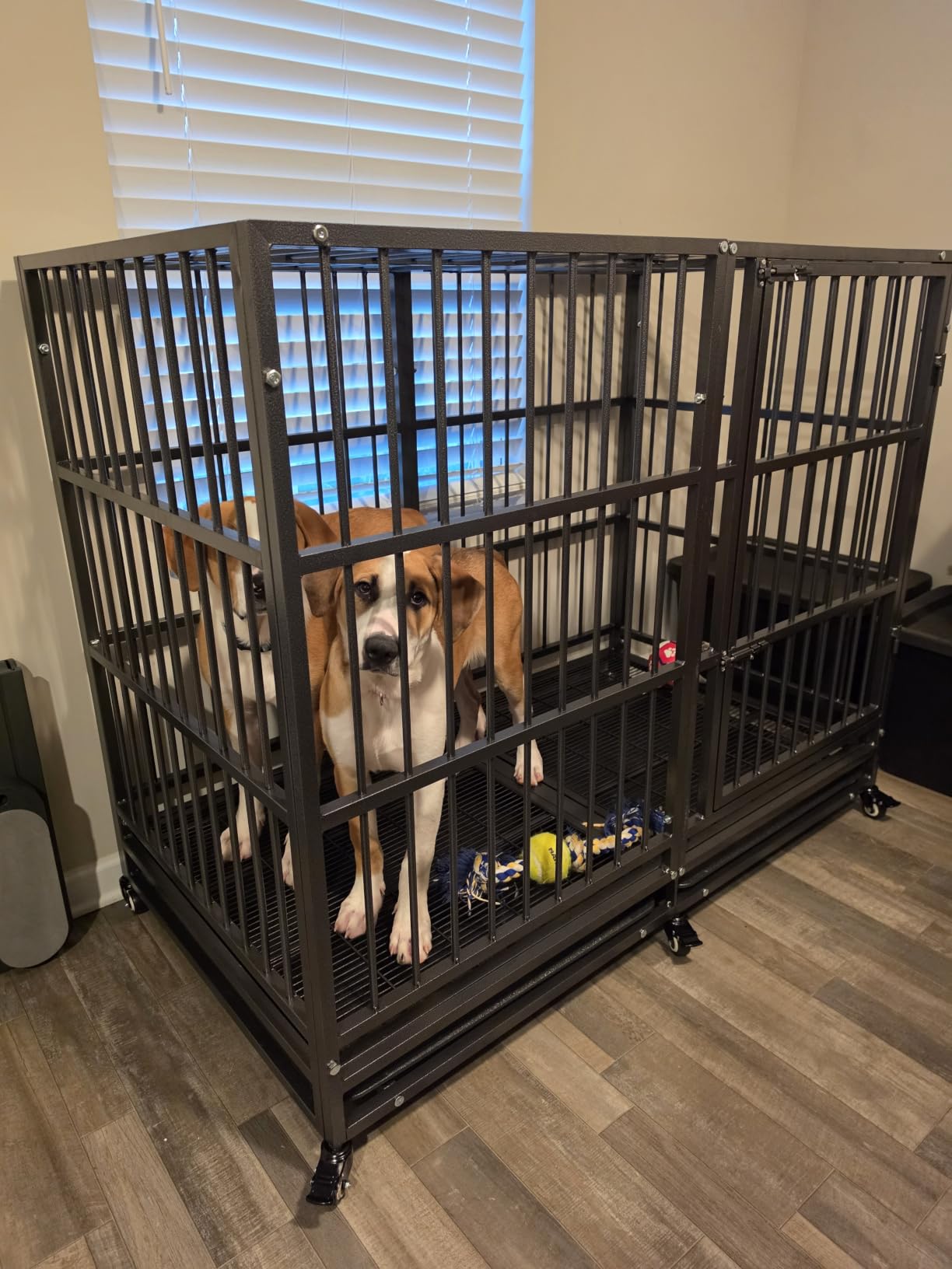BOLDBONE 48 inch Heavy Duty Indestructible and Escape-Proof Dog Crate Cage Kennel for Large Dogs customer photo 2