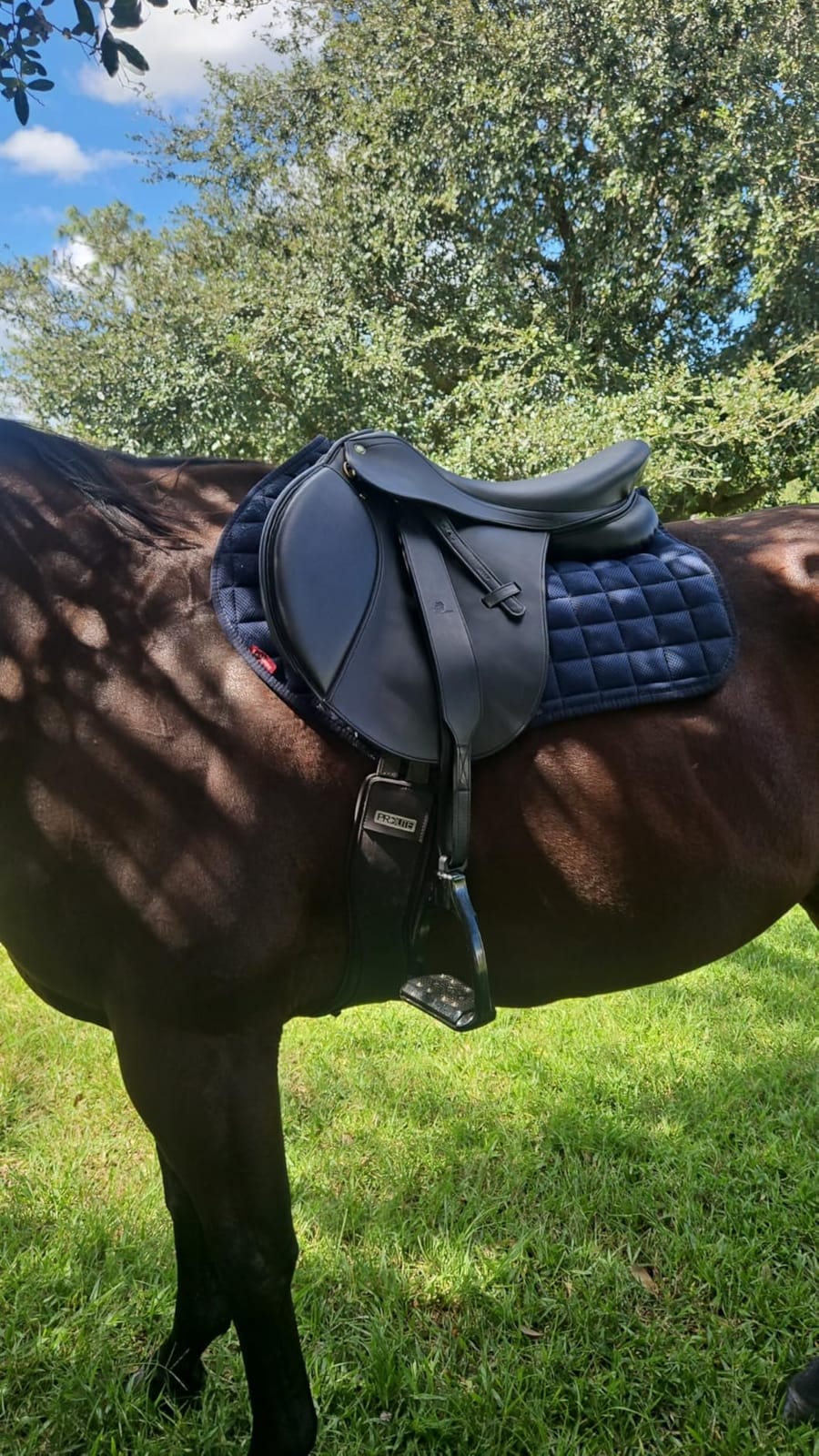 Vegan-X All Purpose IGP Saddle - Synthetic Lightweight Saddle for Equestrian Horse Riding customer photo 1