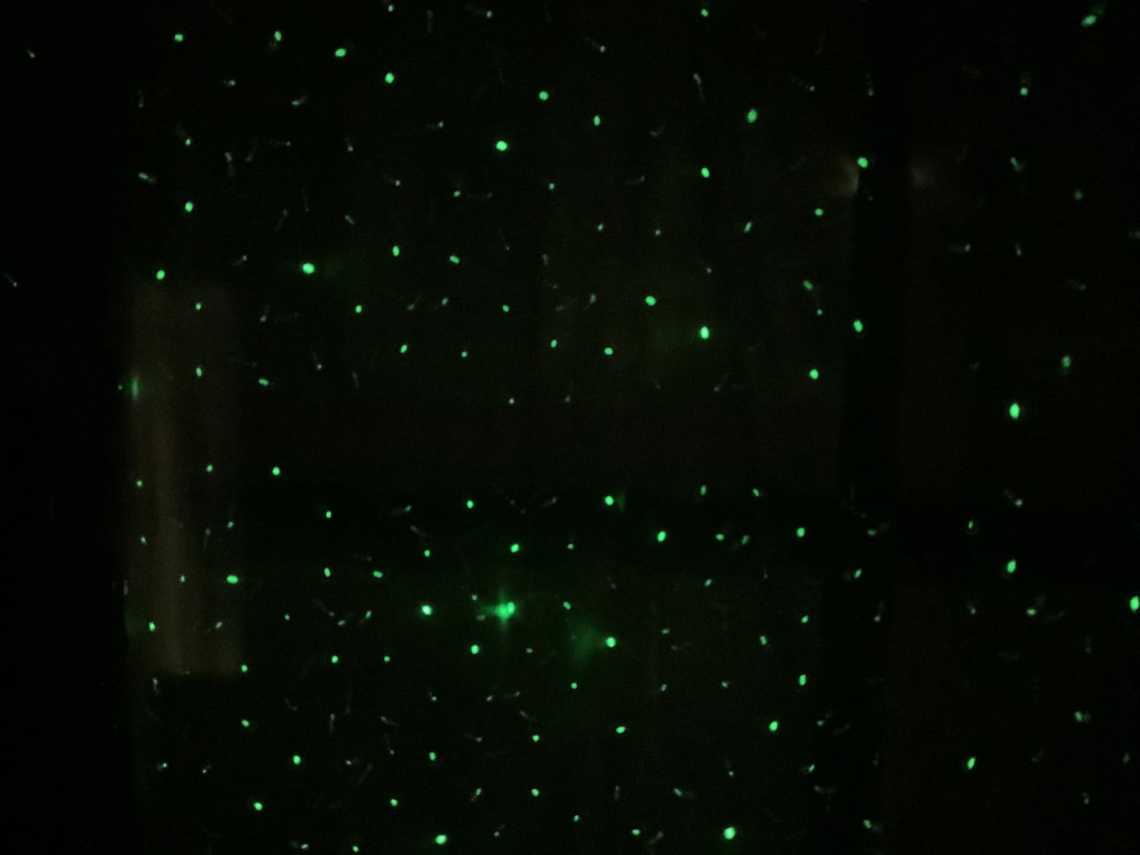 Laser Christmas Projector Lights Outdoor, Firefly Light Show for Trees | 3 Colors, RF Remote, Waterproof, Indoor Holiday Halloween Decoration, Christmas Gift, Wedding, Home Decor, Party, Garden customer photo 1