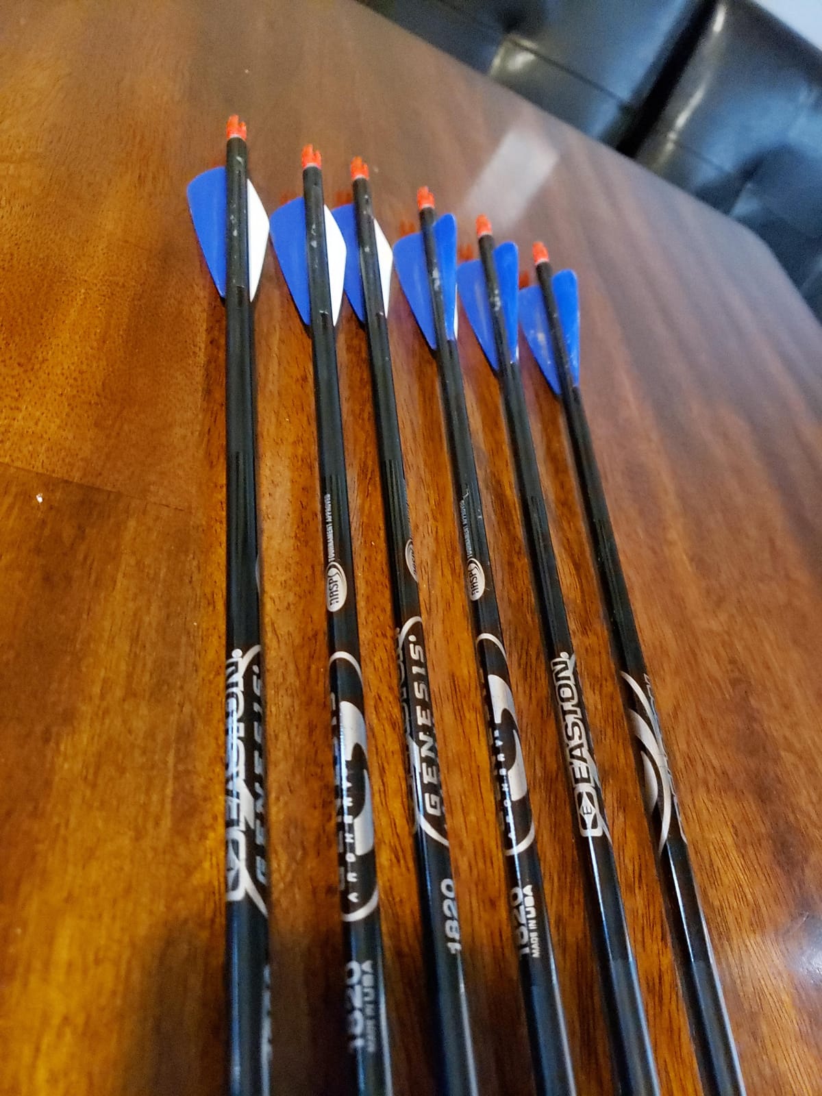 Easton Genesis XX75 Aluminum Arrows with Diamond Vanes, 6 Pack customer photo 2