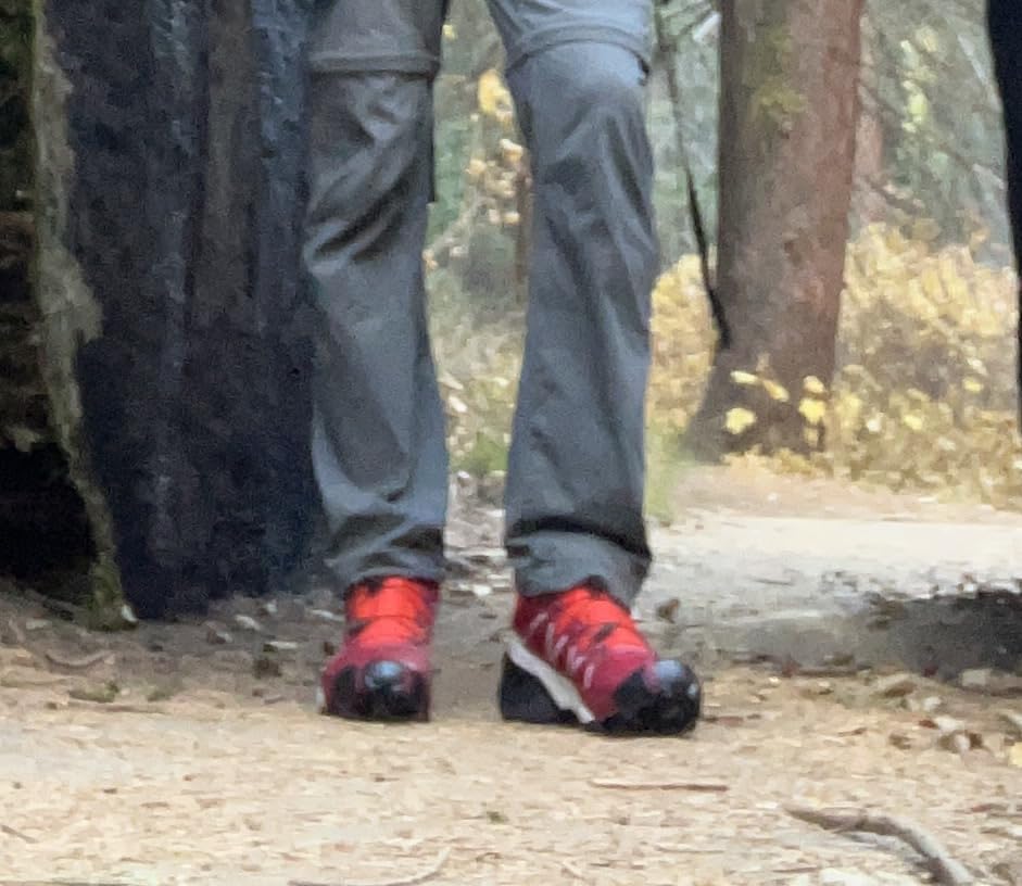 Salomon Men's Speedcross GTX Waterproof Trail Running Shoes customer photo 2