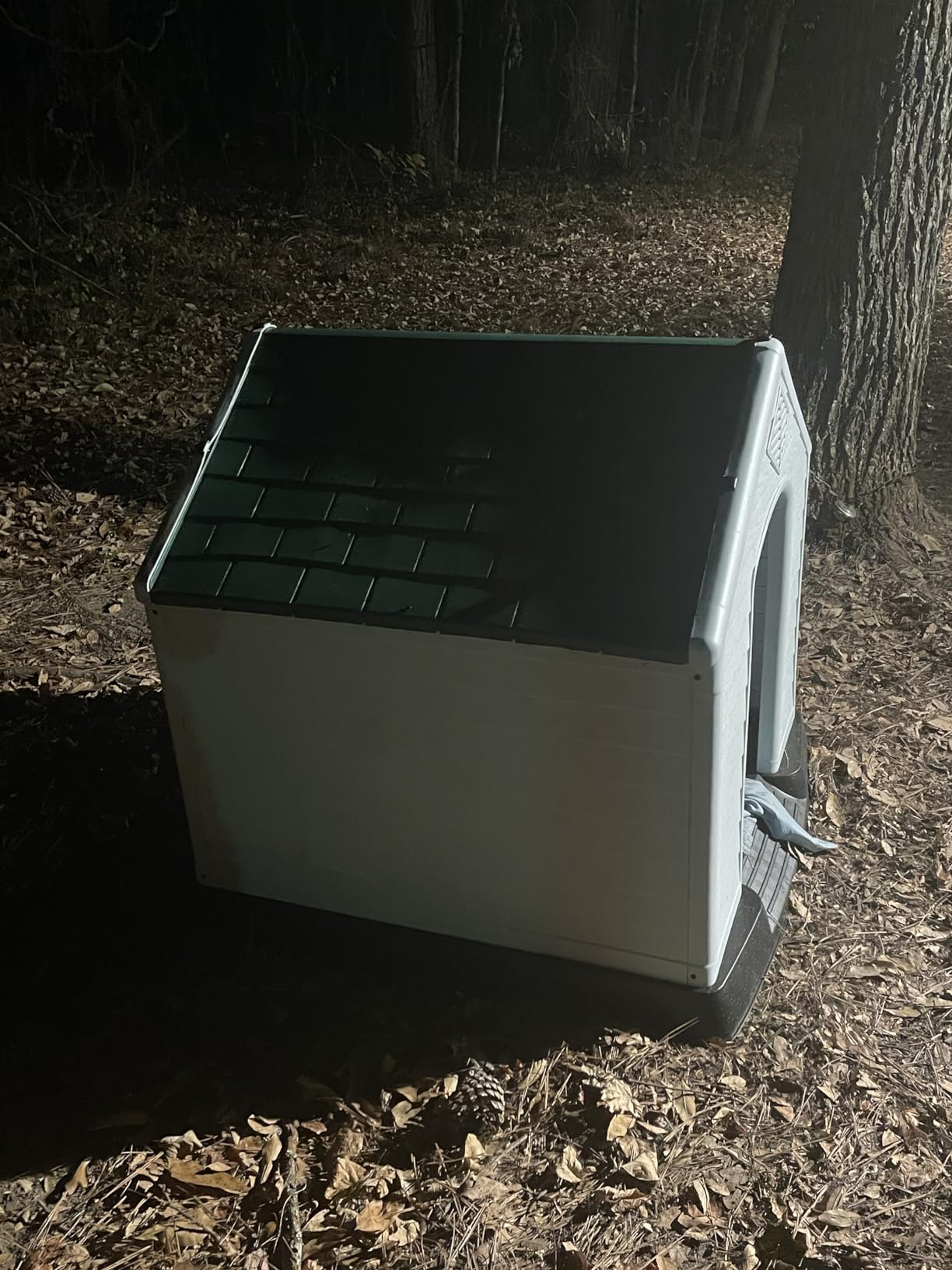 FDW | Dog House | 28