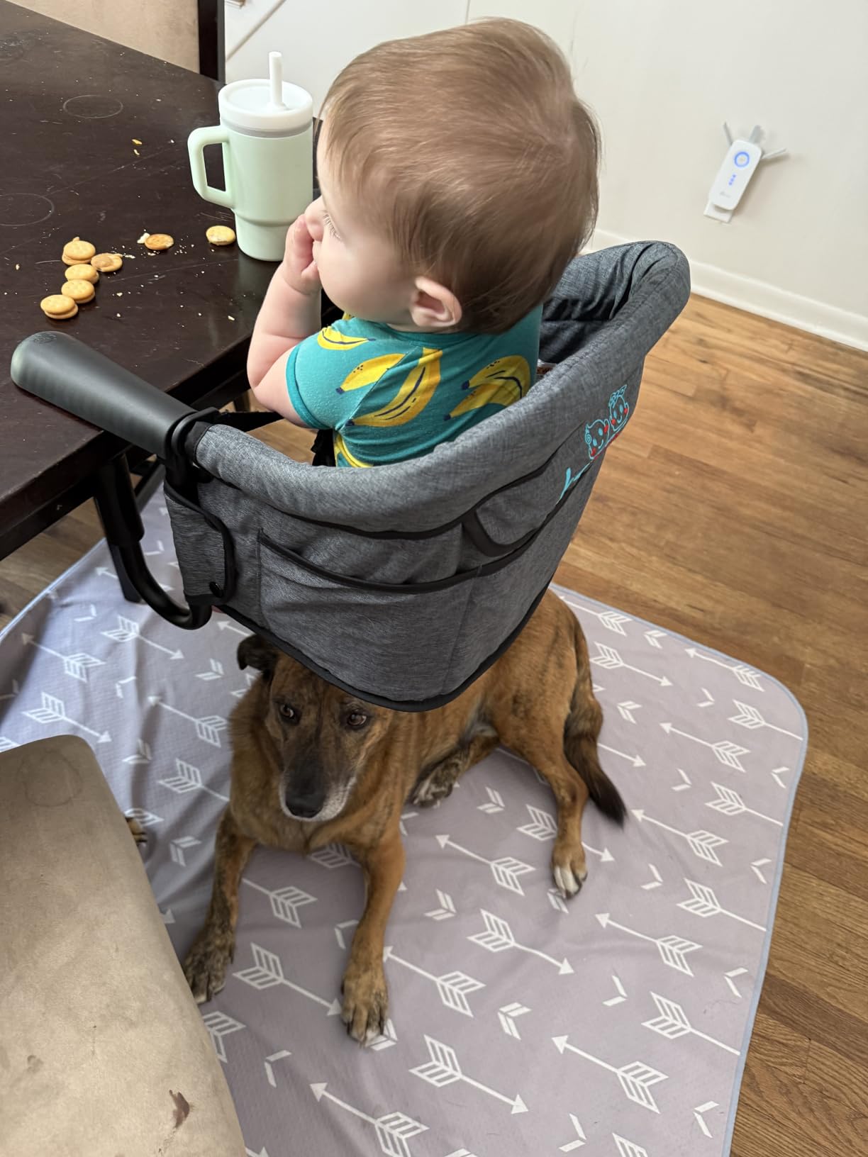 Hook-On High Chairs - Portable & Foldable for Babies 6-36 Months, Family & Travel Use with Carry Bag (Grey) customer photo 2
