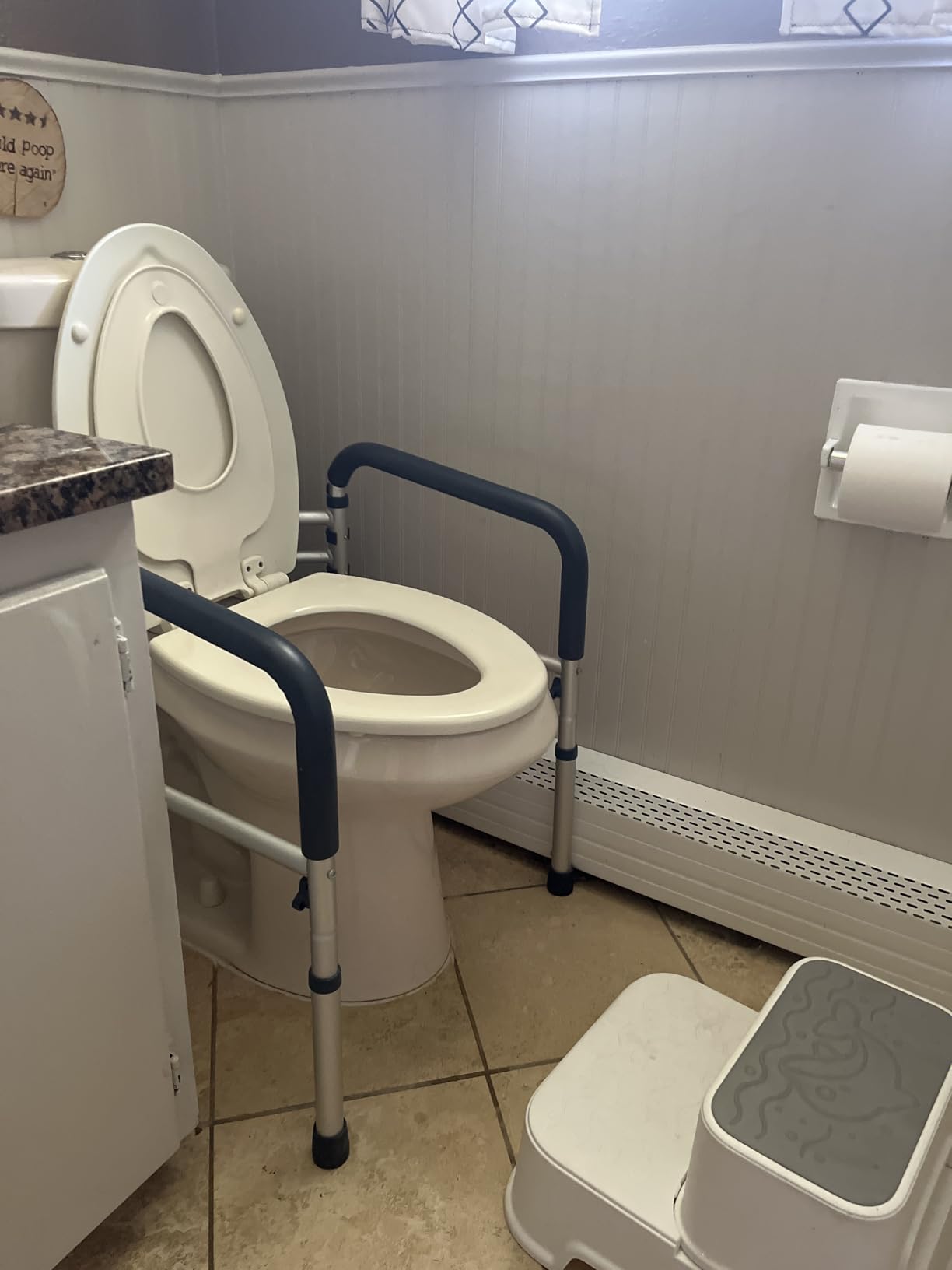 PELEGON Toilet Safety Rails (350 lb) - Adjustable Toilet Safety Frame & Rails, Toilet Safety Rail for Elderly Adults, Toilet Handles for Seniors, Toilet Bars for Elderly & Handicap customer photo 1
