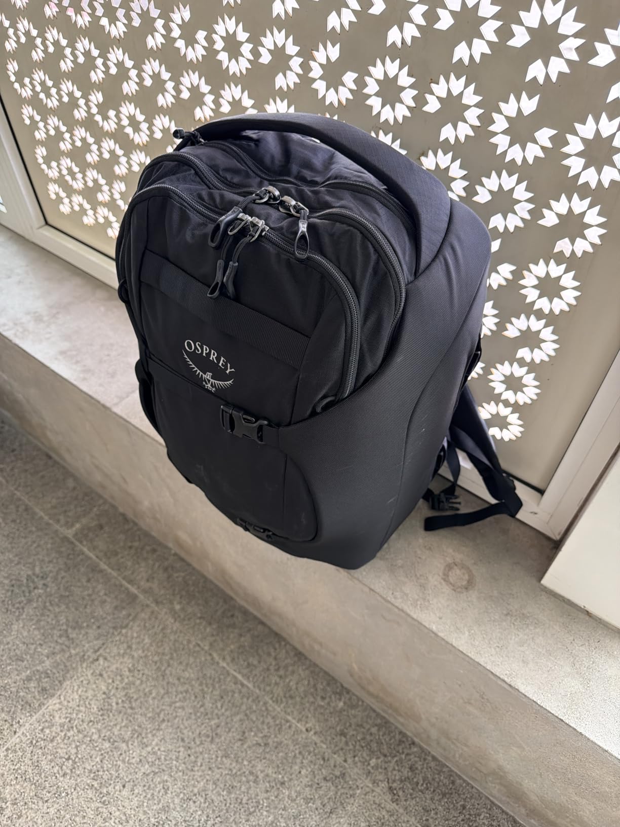 Osprey Sojourn Porter 46L Travel Backpack - Carry-On Compliant Luggage with StraightJacket Compression and Padded Laptop Sleeve - Durable Pack for International or Urban Travel, Brindle Brown customer photo 1
