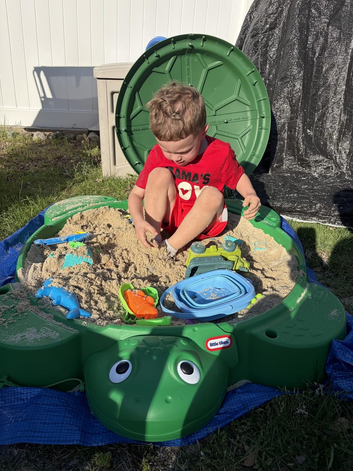 Little Tikes Turtle Sandbox, for Boys and Girls Ages 1-6 Years customer photo 1