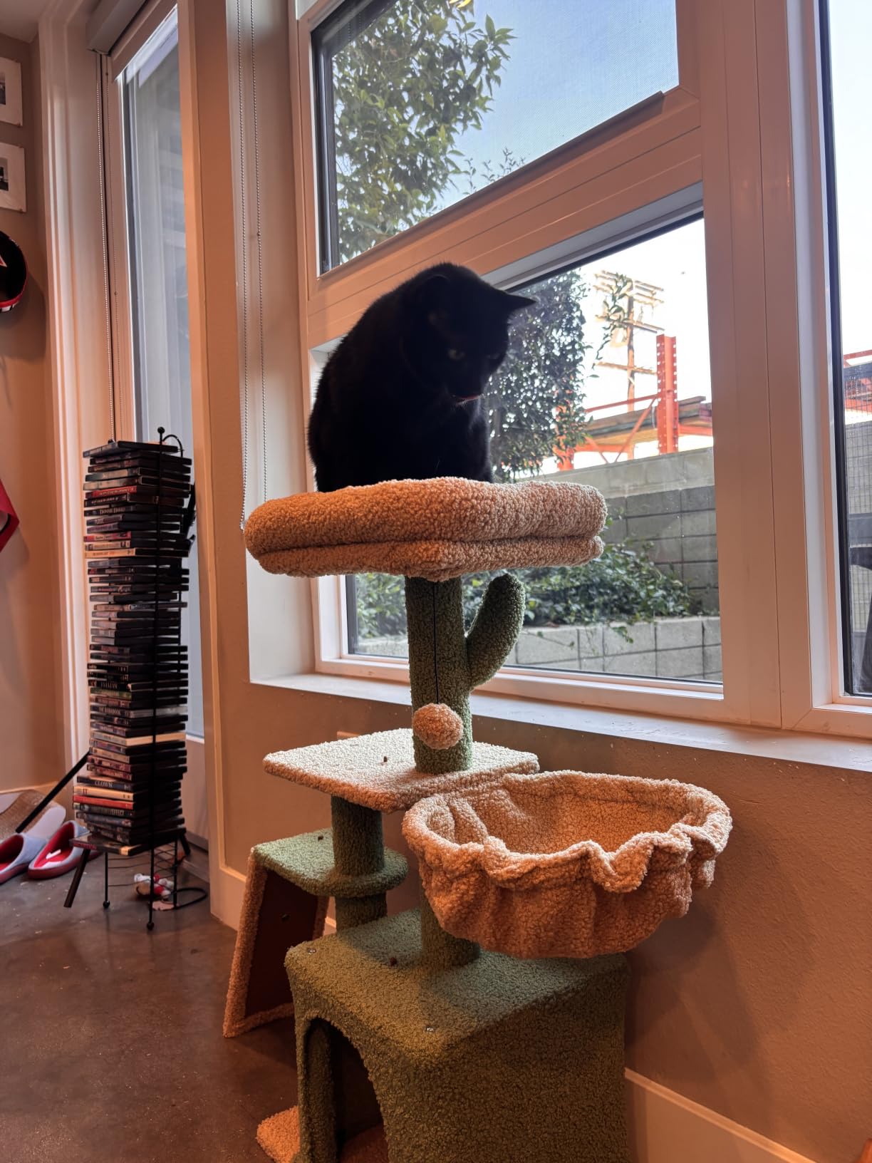 PETEPELA Cactus Cat Tree for Kittens & Small Cats, 32in Cat Tower, Green | Compact 4-in-1: sisal ramp, cozy hammock, condo & washable top bed customer photo 2
