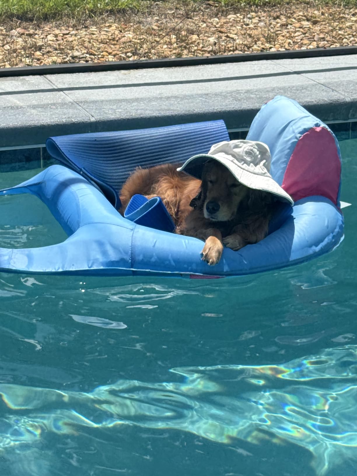 SwimWays Spring Float Recliner, Fast-Inflating Adult Pool Lounger; Ages 15+ | Patented Fast Inflation for Immediate Use During Travel, Fits Most Adults and Teens customer photo 2
