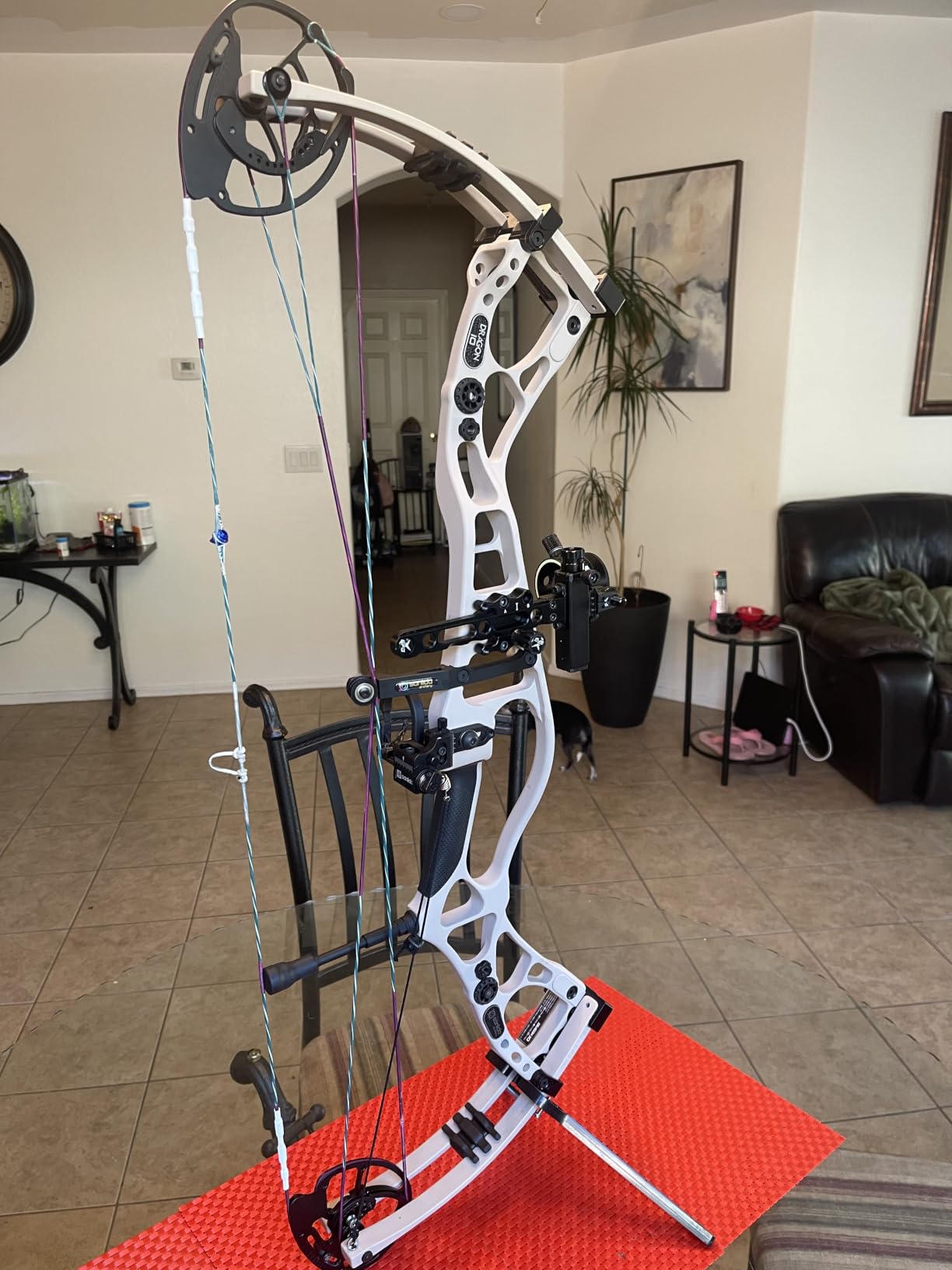 Sanlida Dragon 10 Flagship Top of The Line Hunting Compound Bow Kit for Adults, Standard Hunting Bow for Adults and Advanced Archers, IBO Speed 340 FPS, Limited Life-time Warranty, RH Only customer photo 2