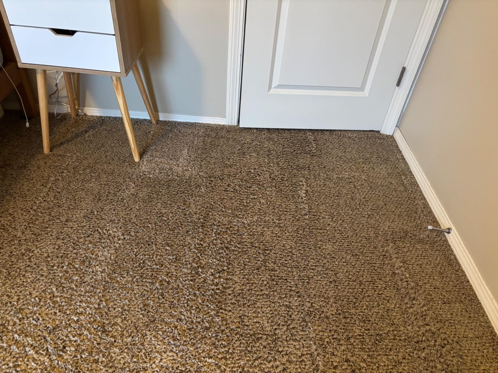 BISSELL TurboClean Pet XL Upright Carpet Cleaner, 3746 | Upholstery tough stain tool & formula included; XL capacity for large cleaning jobs; pet hair pickup customer photo 2