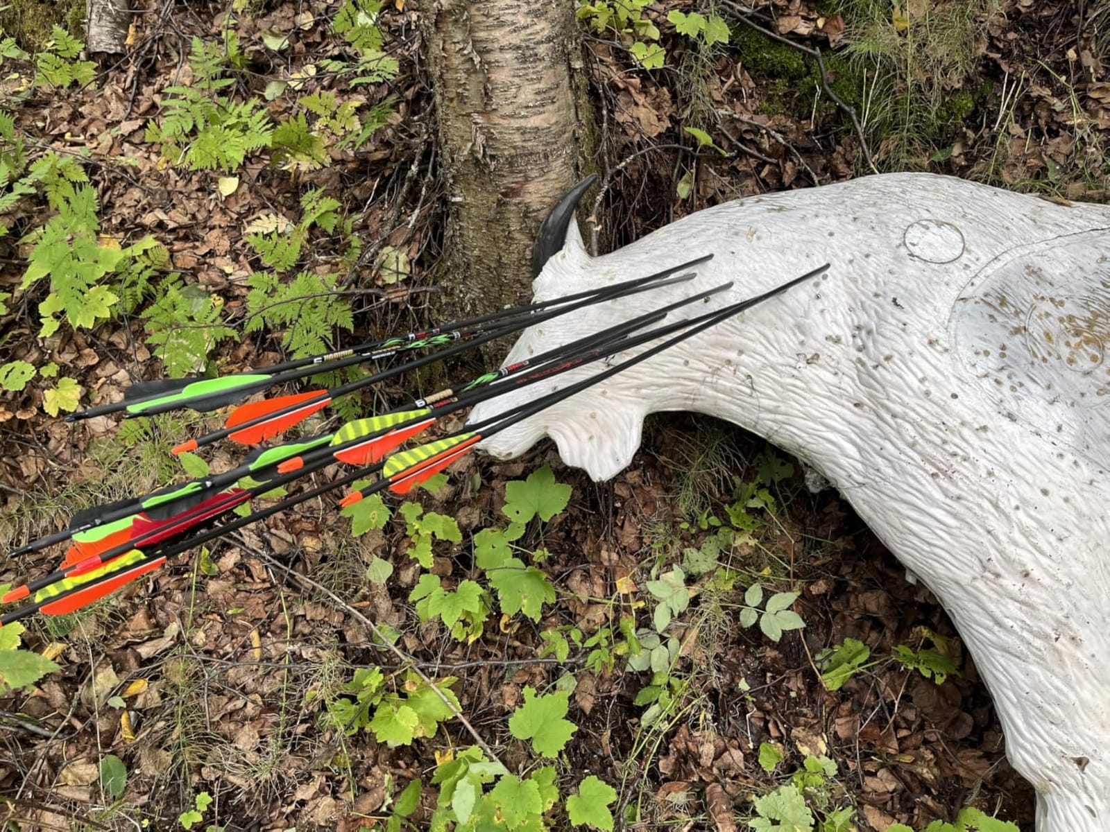 Sanlida Dragon X9 Ready to Hunt Compound Bow Kit for Adults, Archery Hunting Bow Package with 12 Carbon Arrows, Adjustable up to 70 lbs, No Bow Press Needed, Right Hand Only customer photo 2
