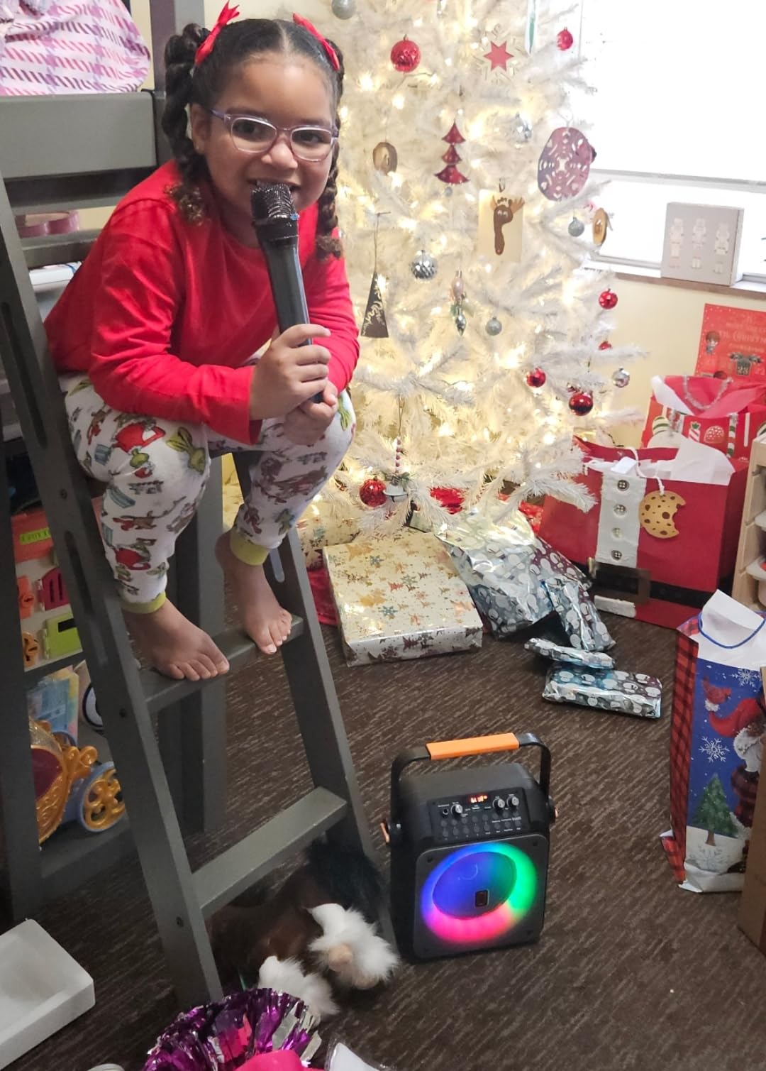HWWR Karaoke Machine with 2 Wireless Microphones, Big Bluetooth Party Speaker with 500W Peak Power for Adults, PA System with Rolling Wheels and Trolley, Perfect for Outdoor, Home Party, Gatherings customer photo 1