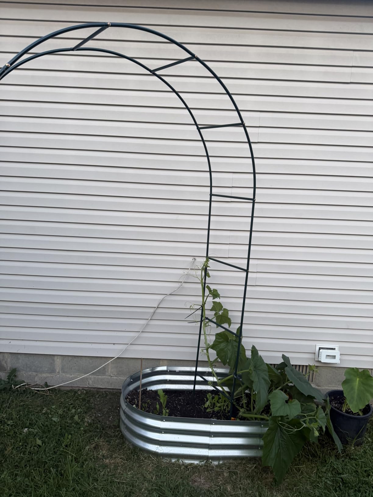 RUBFAC 7.8ft Garden Arch, Metal Trellis for Climbing Plants Outdoor, Black customer photo 1