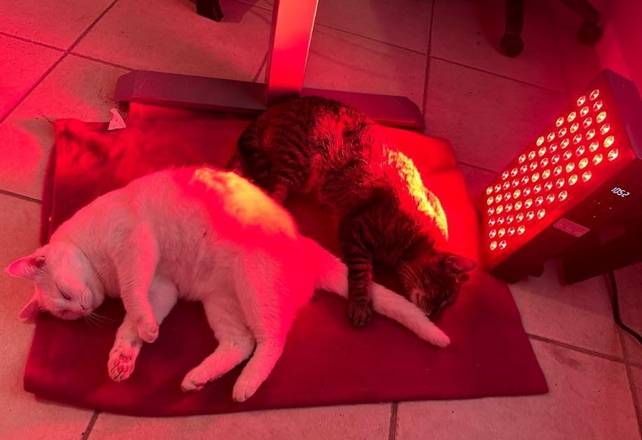 Hooga Red Light Therapy Panel Device - 630nm 660nm 810nm 850nm Red & Near Infrared Light Therapy, LED Light Therapy Lamp, 72 Quad Chip LEDs, Adjustable Brightness, Pulse Mode - ULTRA360 customer photo 2