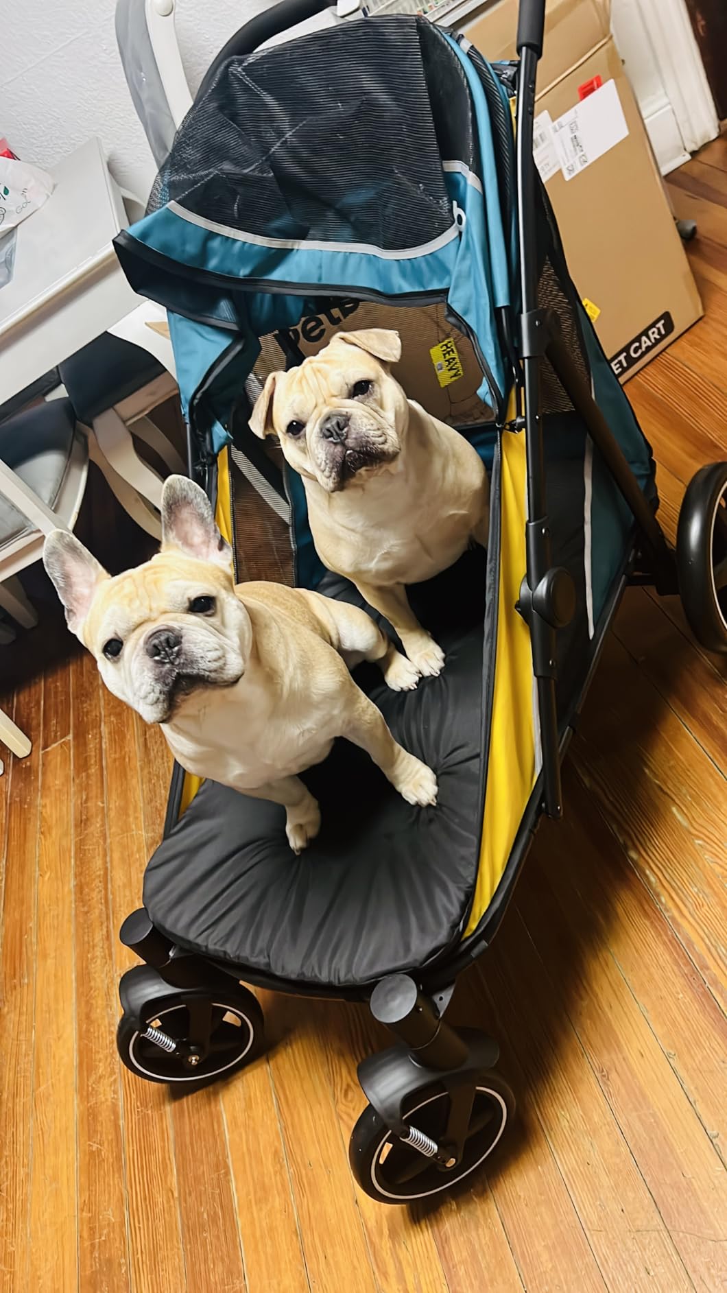 Petbobi Dog Stroller for Large Medium Dogs up to 80 lbs, Dual Entry | One-Hand Fold, One-Foot Brake, All Terrain 360 Swivel Front Wheel, Heavy Duty Air Mesh Wagon, Low Step-In for Senior Pets customer photo 2