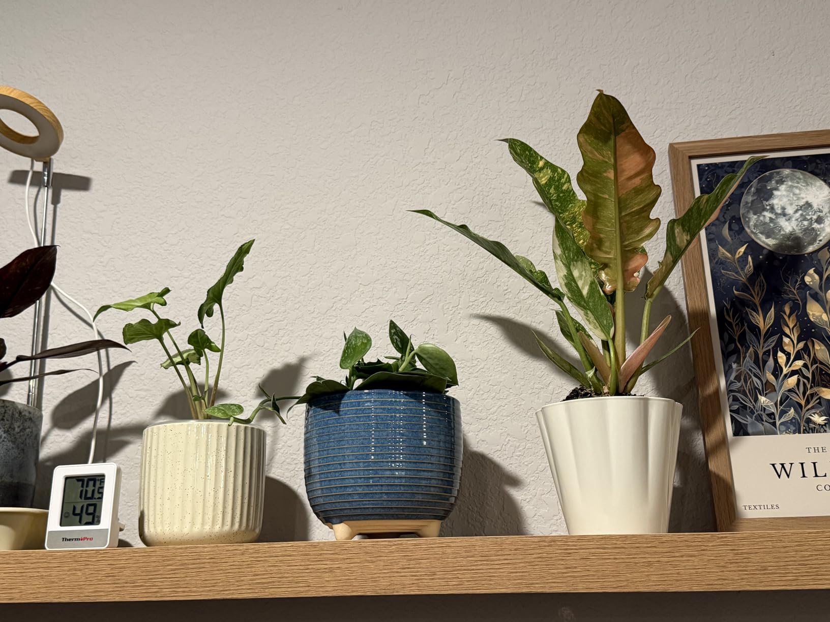 LE TAUCI Ceramic Plant Pots, 5.1 + 6.4 Inch, Set of 2, Reactive Glaze White customer photo 2
