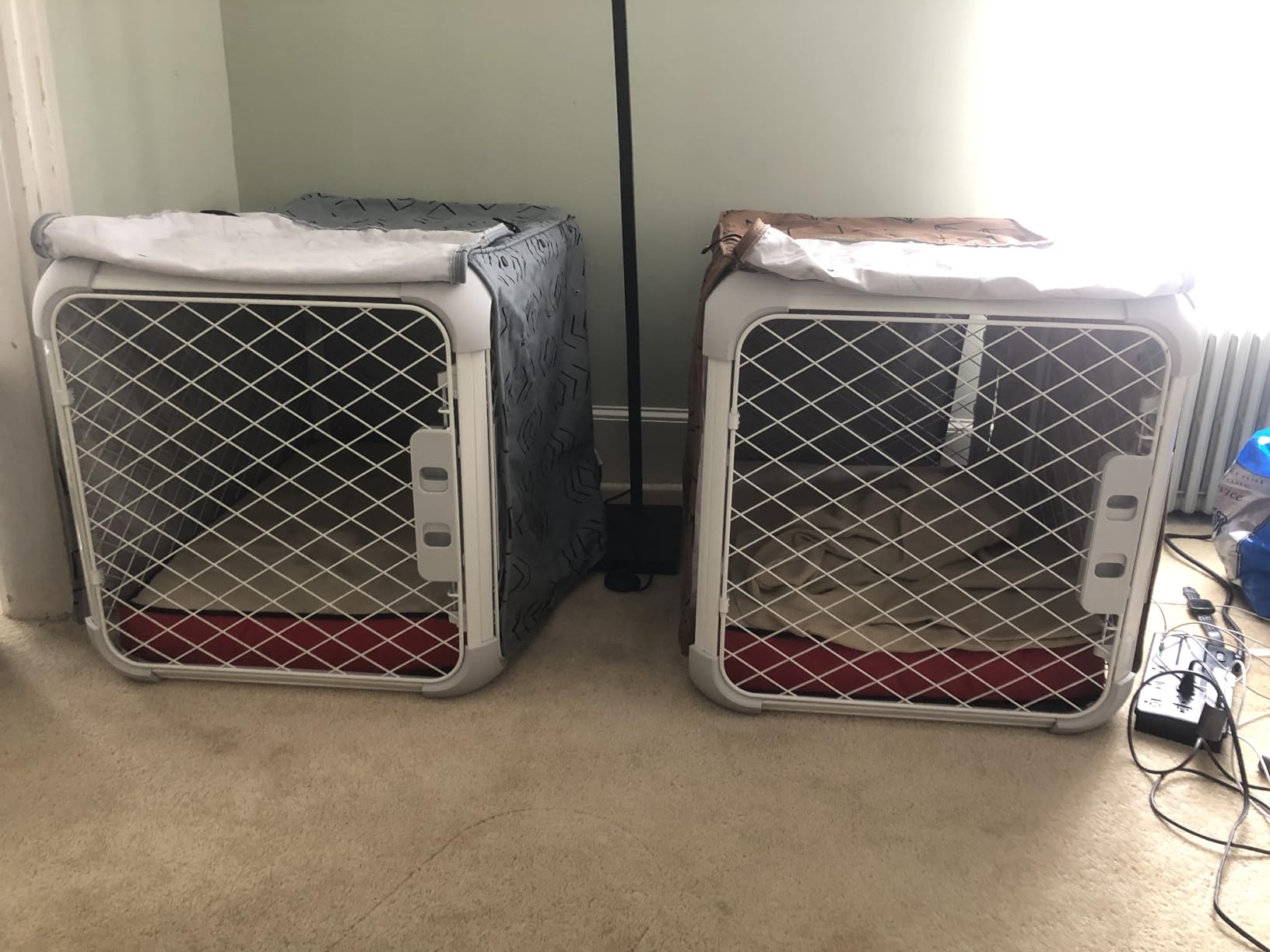 DIGGS Evolv Dog Crate - Slim, Durable Dog Kennel with Removable Ceiling Panel and Modular Design - Safe, Stylish, and Convenient (Ash, Small) customer photo 2