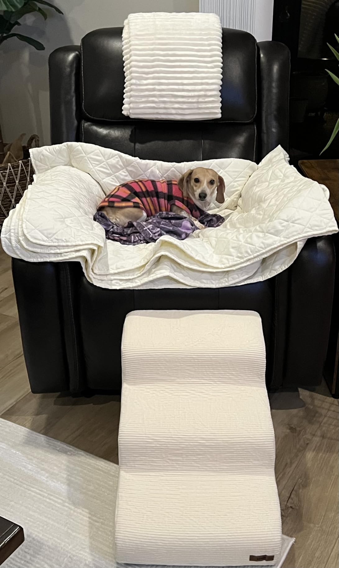 Lesure Dog Pet Stairs for Small Dogs, Beige, 4 Steps | Pet Steps Ramp for High bed and Couch, 33D CertiPUR-US Certified Foam, Indoor and Car Use, Non-Slip Bottom, Removable Cover customer photo 2