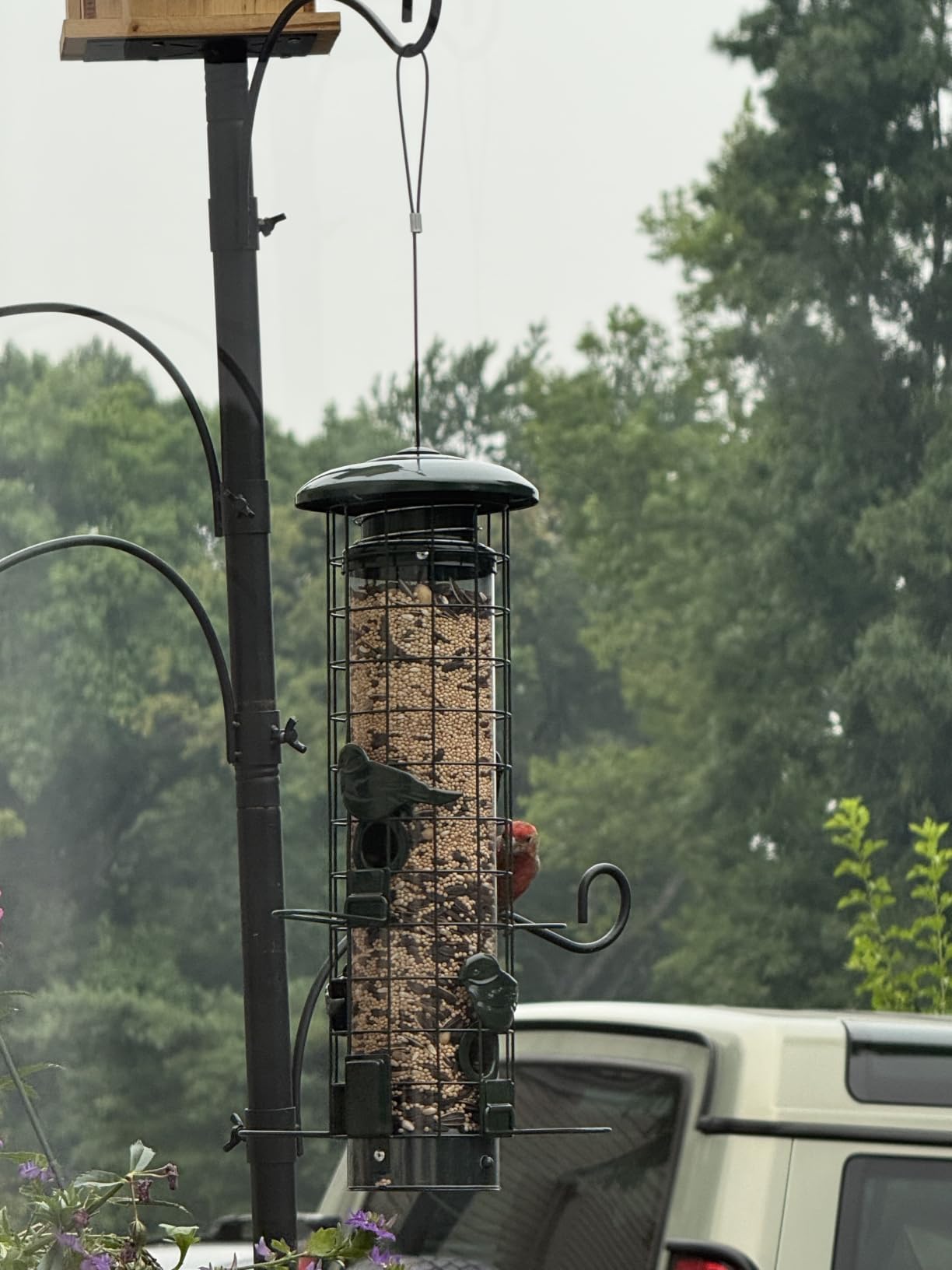 Squirrel Proof Bird Feeder, Metal Mesh Bird Feeders for Outdoors Hanging, Gravity Protection Squirrel Proof Wild Bird Feeders with Finch Cardinal Chickadee, 3LB Large Capacity, Green customer photo 2