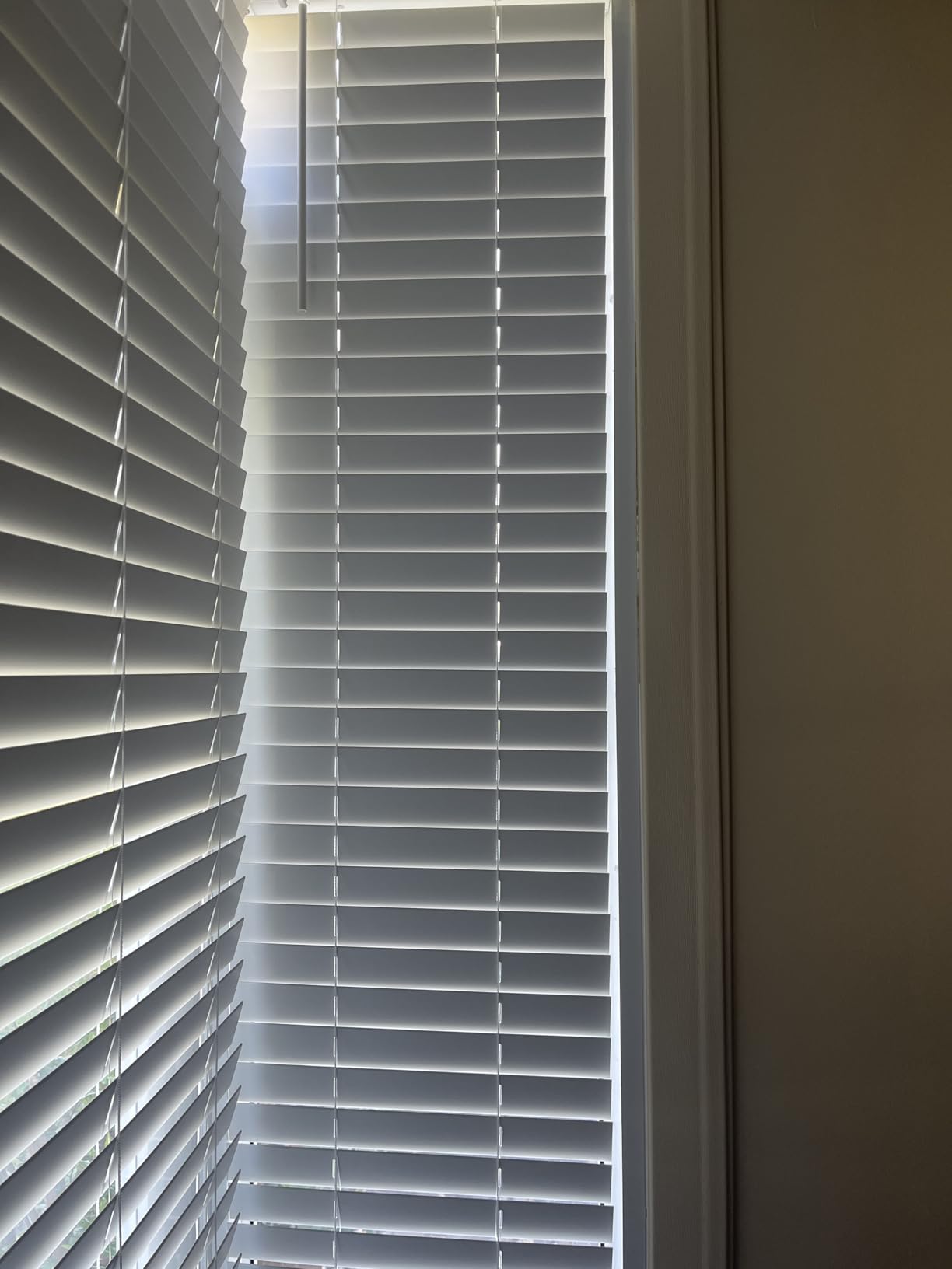 LOTUS & WINDOWARE Cordless Faux Wood Blinds, 35