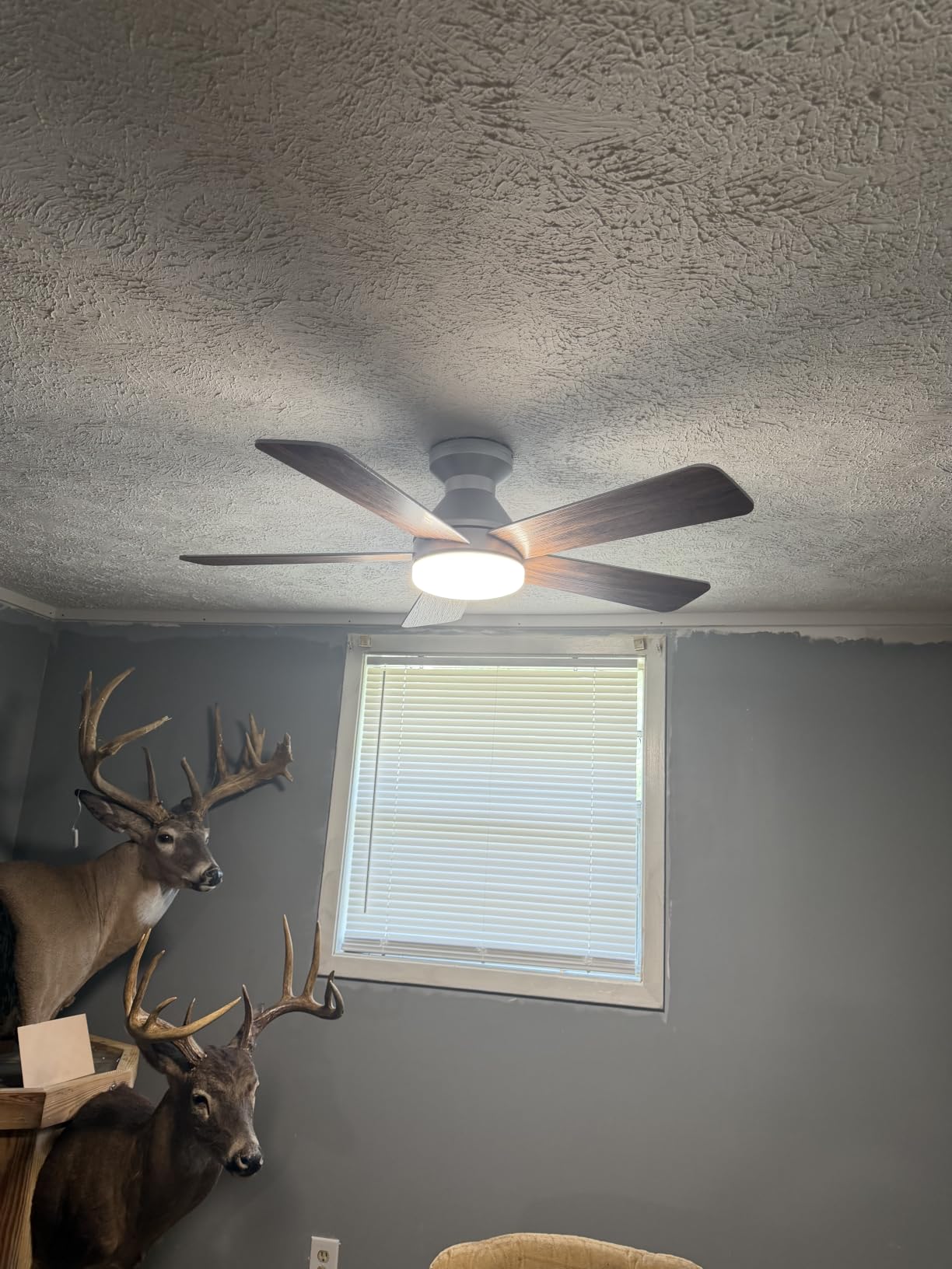 addlon 42 Inch Black Low Profile Ceiling Fans with Lights and Remote | Flush mount, 3-color dimmable light, quiet reversible DC motor, easy install, memory, timer, bedroom, covered outdoor areas customer photo 1