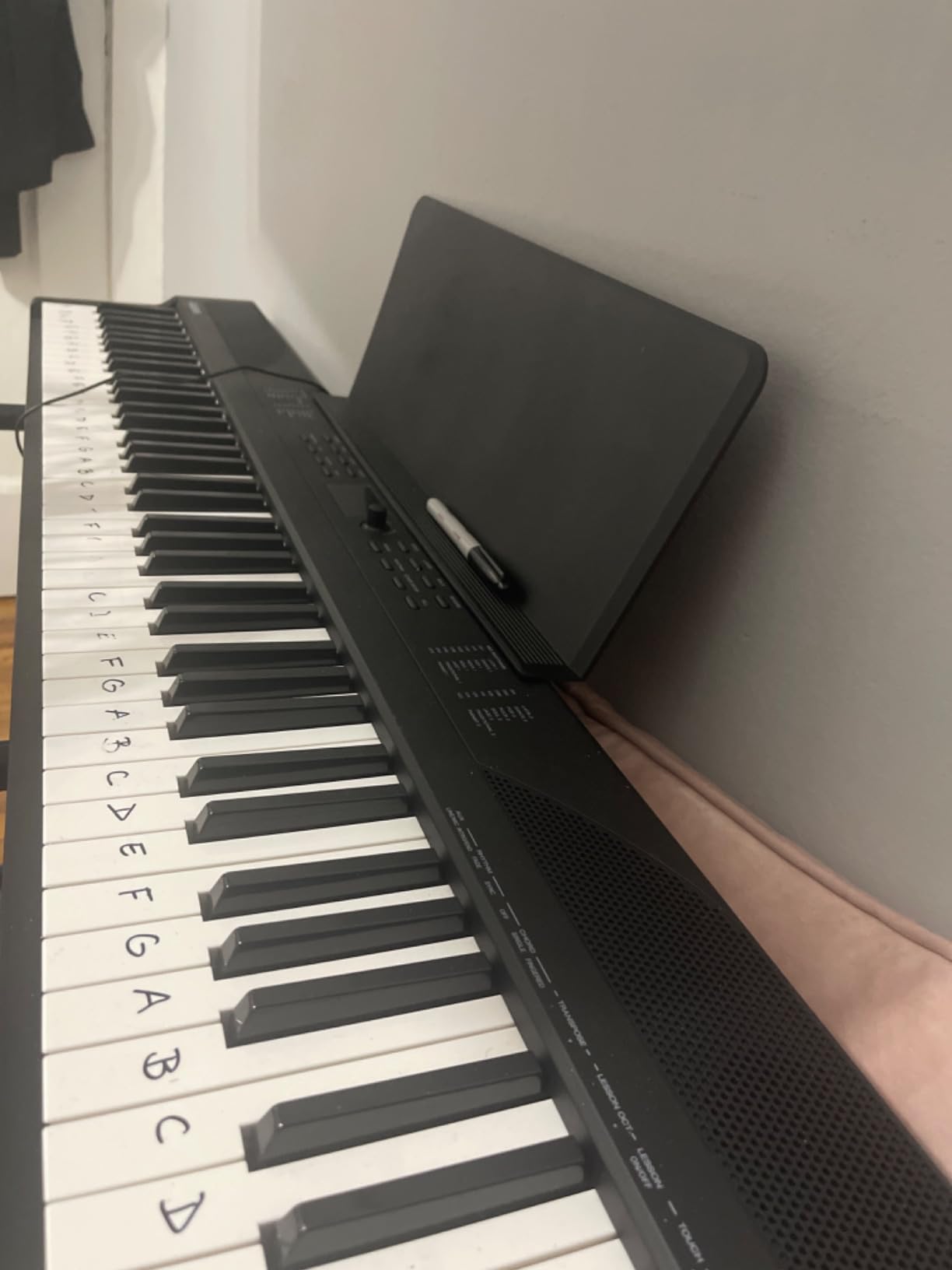 Alesis Recital Play 88-Key Piano Keyboard Bundle | Portable, 480 Voices, Split/Layer Modes, Includes Lessons, Stand, Sustain Pedal, Headphones, Carry Bag, for Beginners customer photo 1