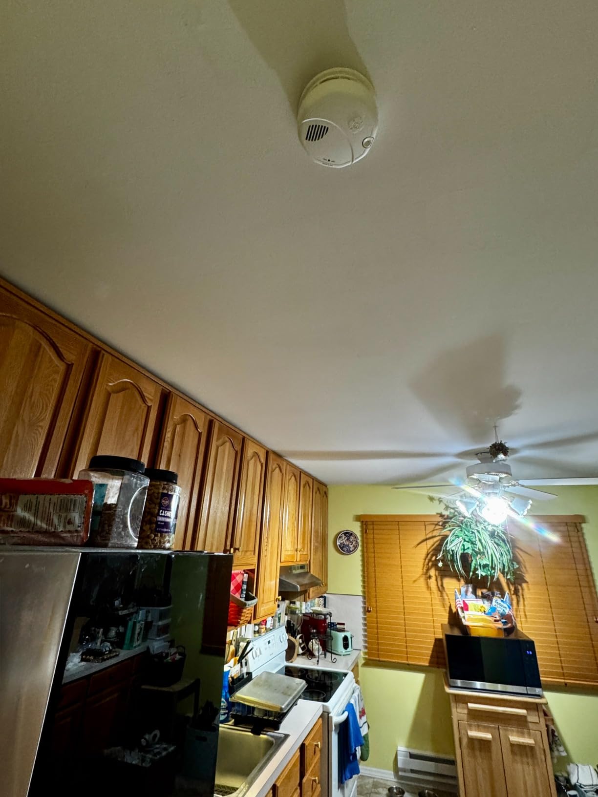 First Alert 10-Year Battery Smoke Alarm, Dual Sensor | SM310 customer photo 1