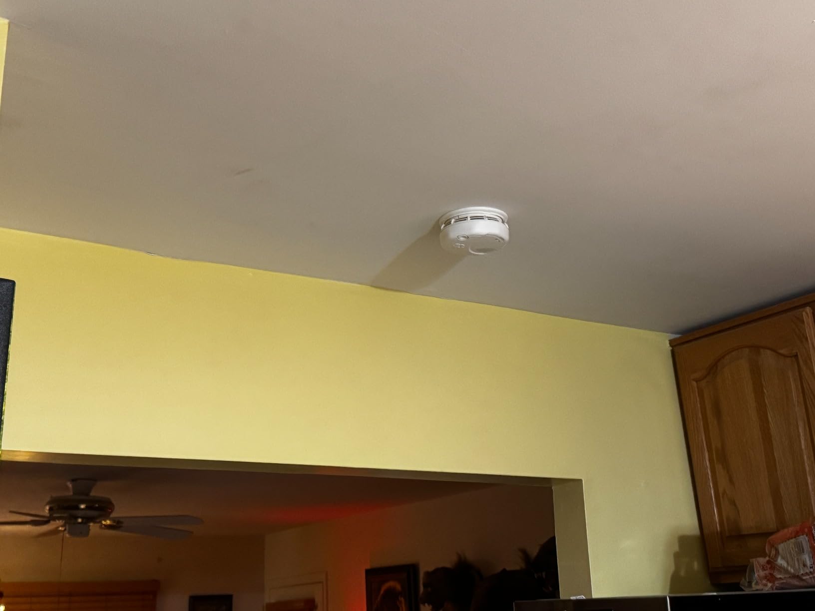First Alert 10-Year Battery Smoke Alarm, Dual Sensor | SM310 customer photo 2