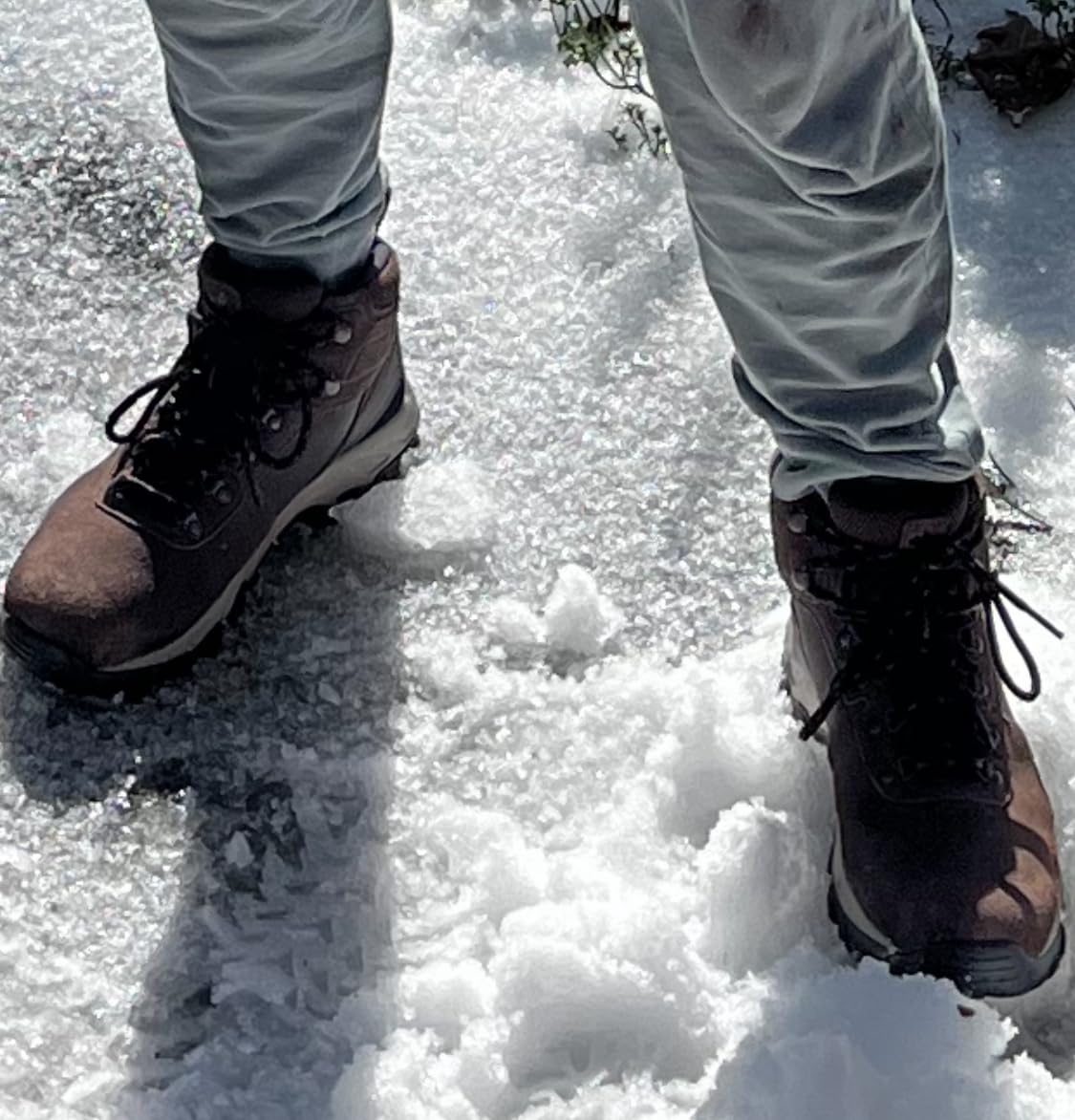 Columbia Men's Newton Ridge Plus II Suede Waterproof Hiking Boots customer photo 2