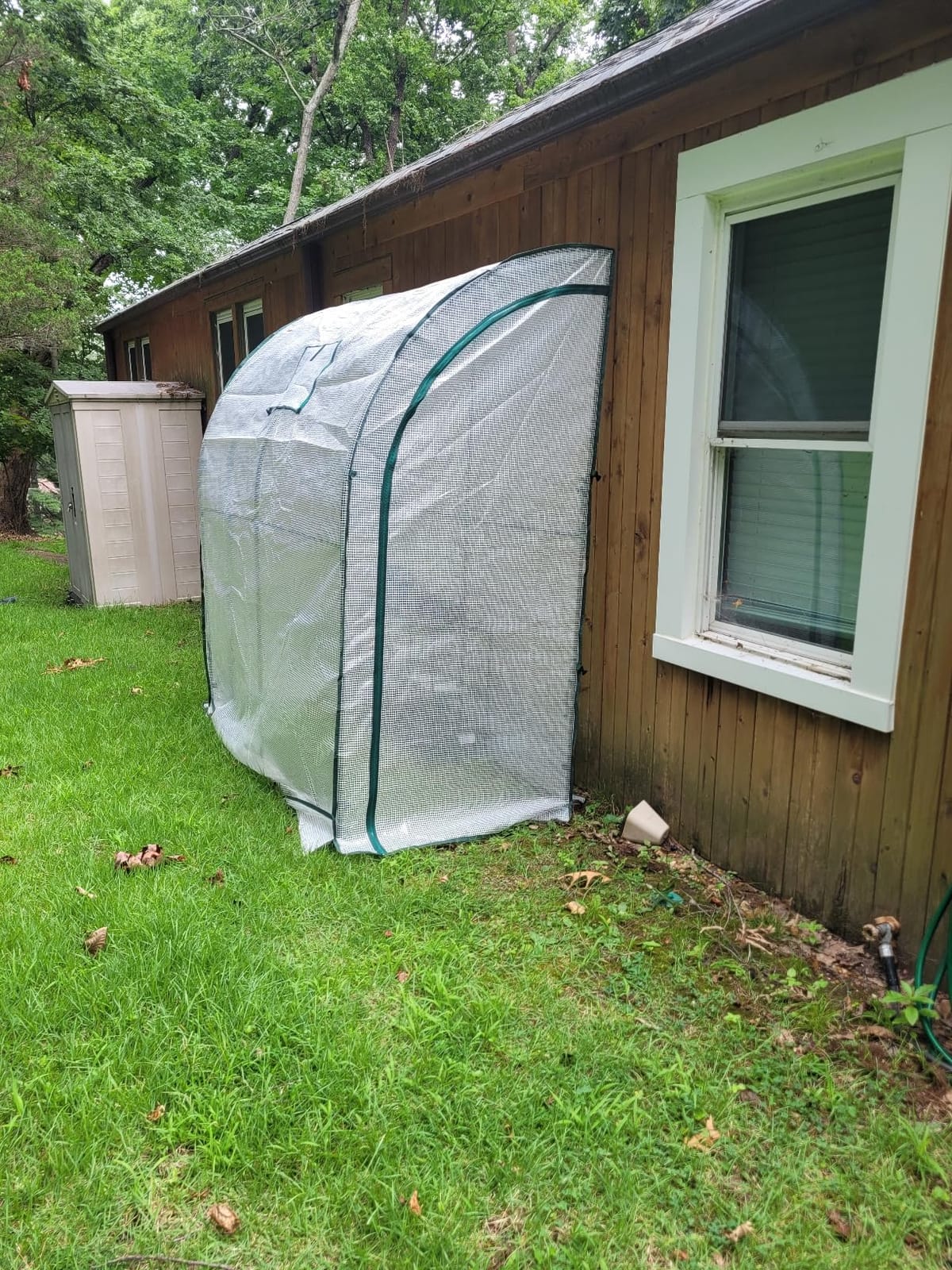 Lean to Greenhouse for Outdoors: Ohuhu Portable Tomato Green House Heavy Duty with Roll-Up Zippered Door, Tall Plastic Greenhouses for Outside Winter Plants Growing Shed for Backyard, 6.6x2.5x5.6 FT customer photo 2