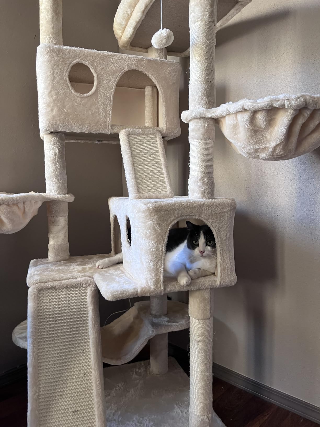 SHA CERLIN 65in Larger Cat Tree Tower Condo for Indoor Kitties/Multi-Level Furniture Activity Center with Wide Base/Cozy Plush Cat Perches/Baskets/Sisal Scratching Posts and Hammock/Beige customer photo 1