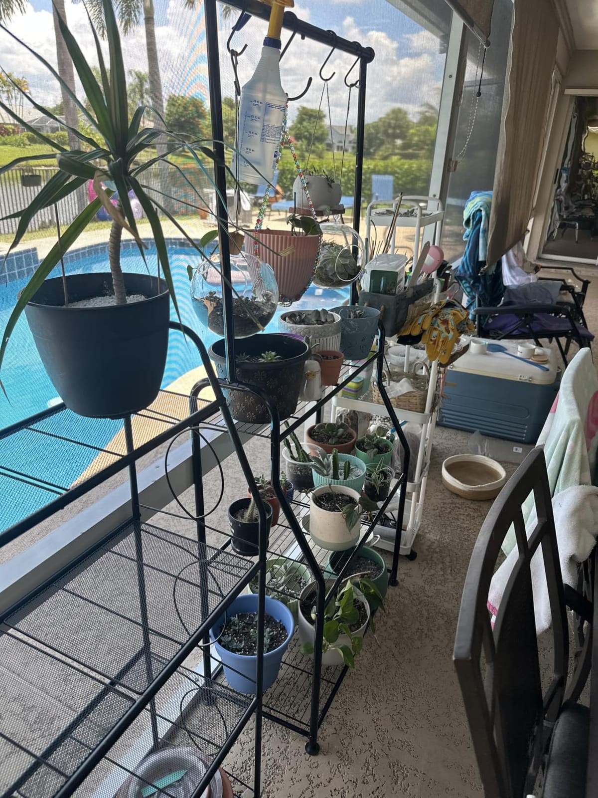 Simple Trending Plant Stand Indoor Outdoor, Heavy Duty Metal 3 Tiered Hanging Plant Shelf for Multiple Flower Planter Holder Tall Large Rack for Living Room Garden Balcony, Black customer photo 1