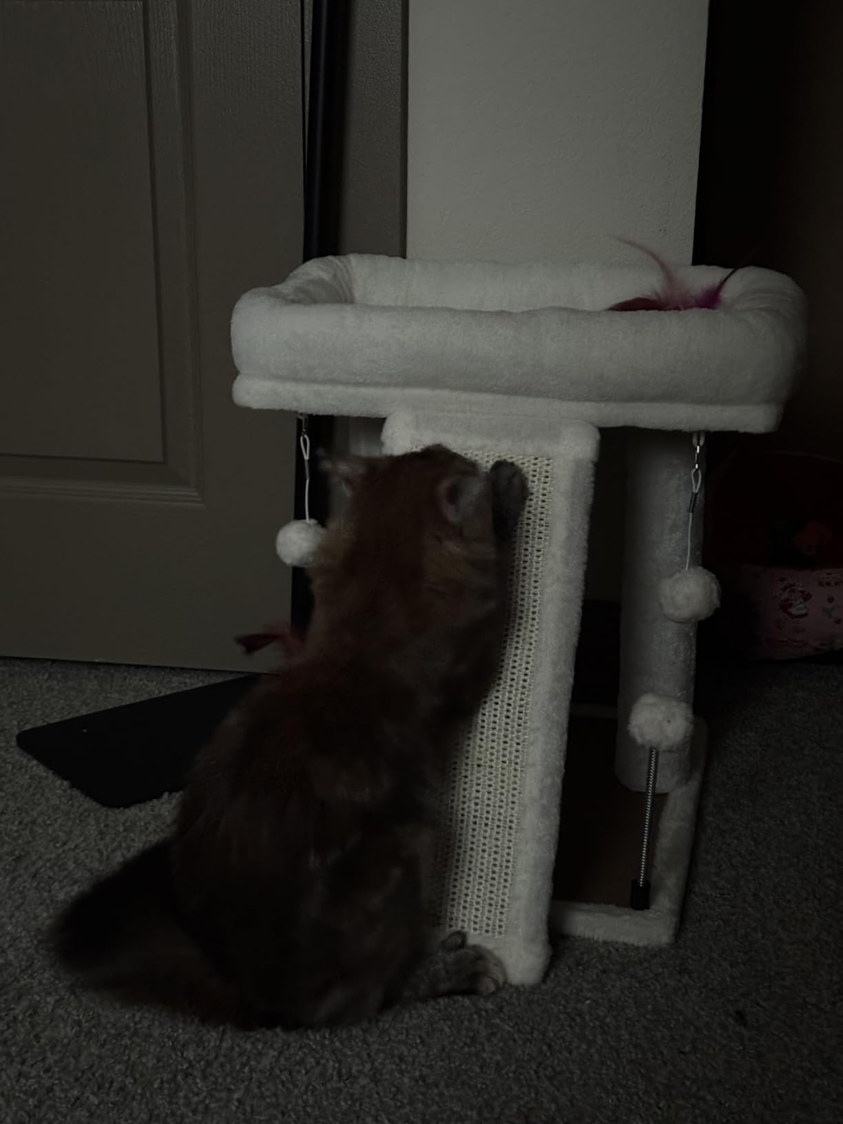 TWDEPART Cat Tree Tower with Cat Scratching Post for Indoor Cats, Activity Centre Climbing Tree with Scratching Board and Playful Toy Balls, Grey customer photo 1