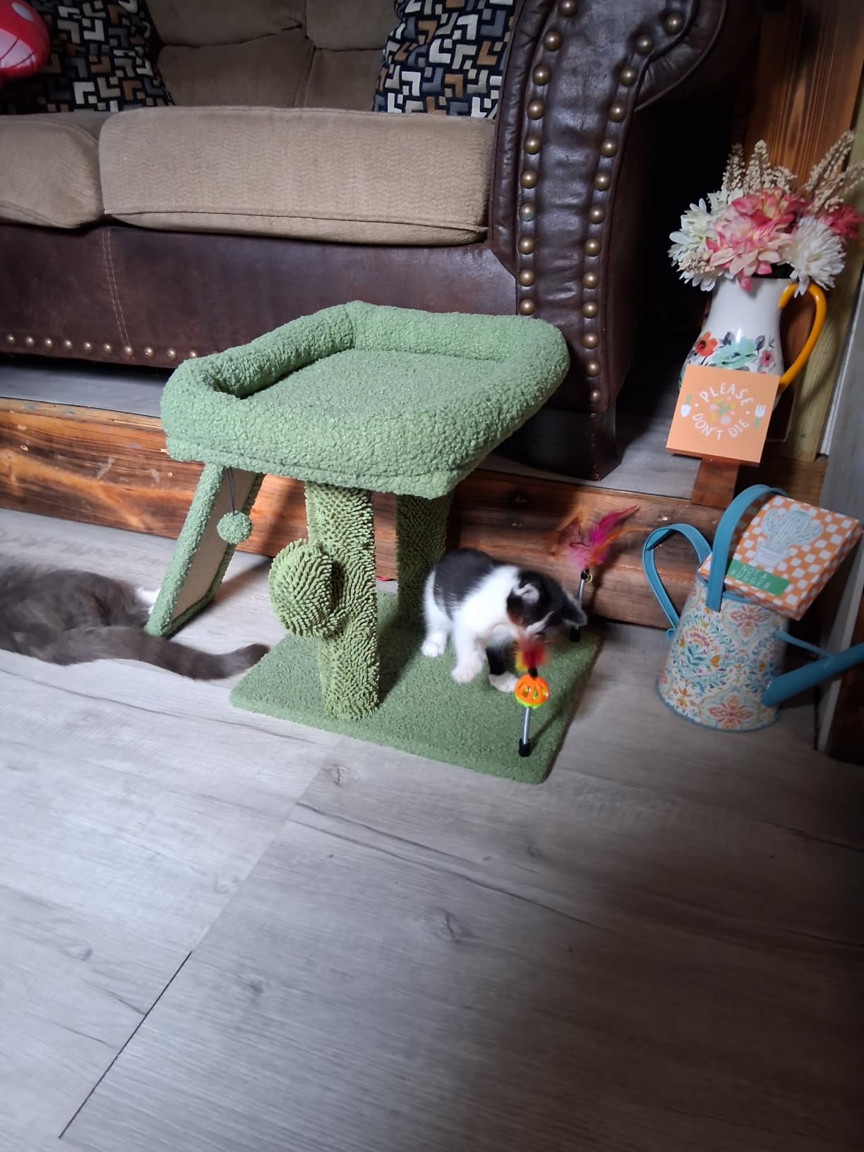 TWDEPART Cat Tree Tower with Cat Scratching Post for Indoor Cats, Activity Centre Climbing Tree with Scratching Board and Playful Toy Balls, Grey customer photo 2