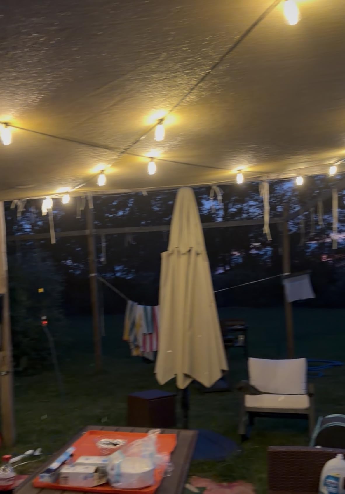 addlon 100FT Outdoor String Lights ST38 LED with Remote Waterproof Dimmable | Shatterproof Replaceable Bulbs, Connectable Hanging Strand for Porch Backyard Patio Garden Deck Outside, Timer, 3 Modes customer photo 2
