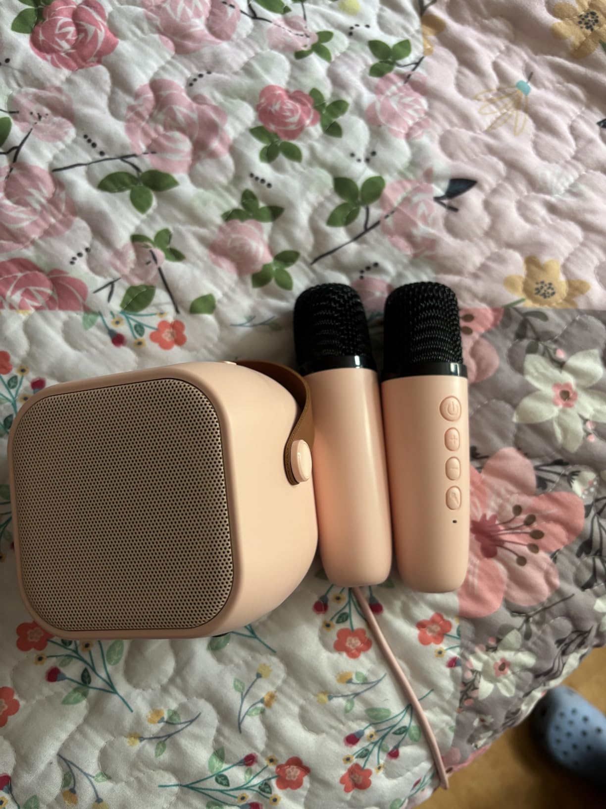 Mini Karaoke Machine,Portable Bluetooth Speaker with 2 Wireless Microphones | 360° Surround Sound,5 Voice Effects,Bluetooth 5.0,LED Lights, TF/USB/AUX, For Kids and Adults, Family Home Party and Gifts customer photo 2