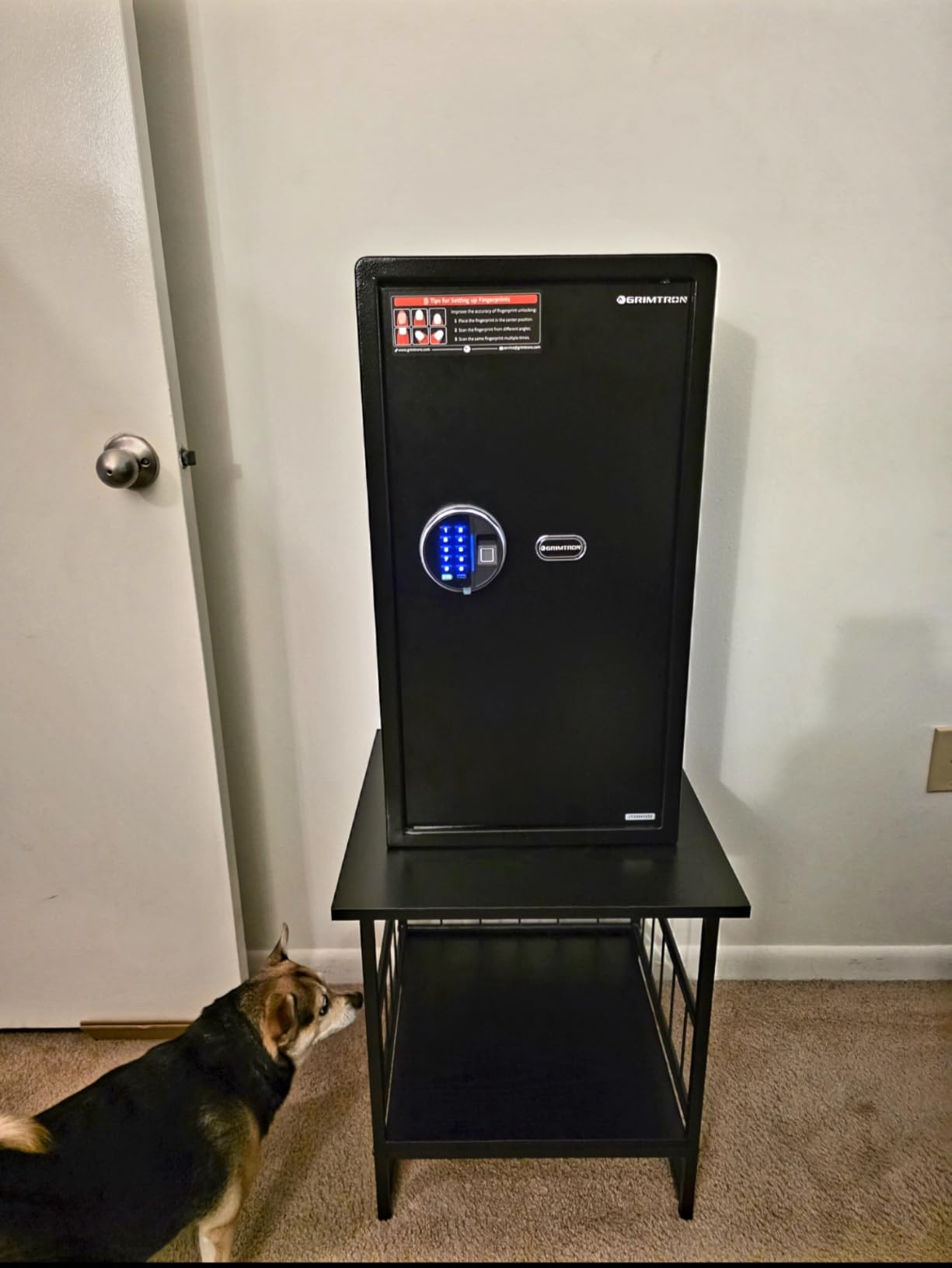 Grimtron 32LB Biometric 4 Pistols Safe with Fingerprint Lock, 3-8 Digit PIN | 2-in-1 Storage for 4 Pistols & Valuables, 1.71 Cu Ft Capacity, 30 Fingerprints, All-Metal Knob, Silent Mode & Type-C Power customer photo 1