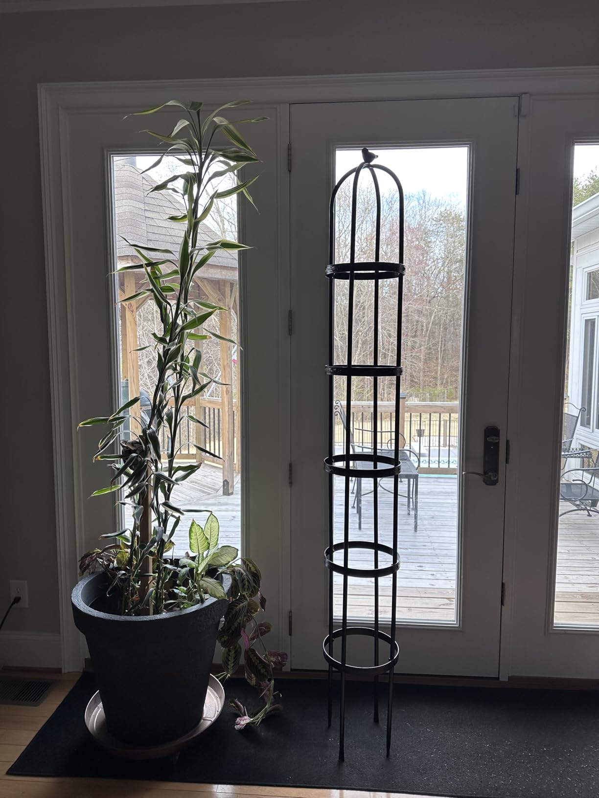 Evergreen 5 ft Garden Trellis for Climbing Plants Vines, Jasmine & Flowers, Rustproof Metal Obelisk Trellises, Outdoor & Indoor Plant Support for Potted Planters (Bronze) customer photo 2