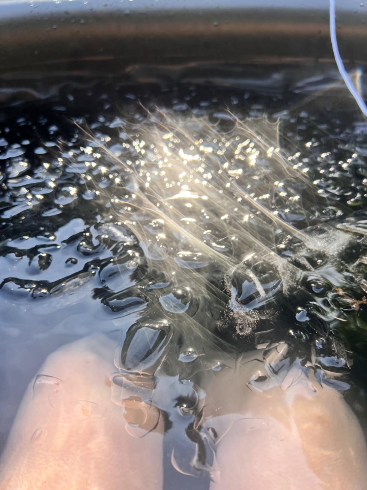The Cold Pod Ice Bath Tub for Athletes with Cover: 88 Gallons Cold Plunge Tub for Recovery, Multiple Layered Portable Ice Bath Plunge Pool customer photo 2