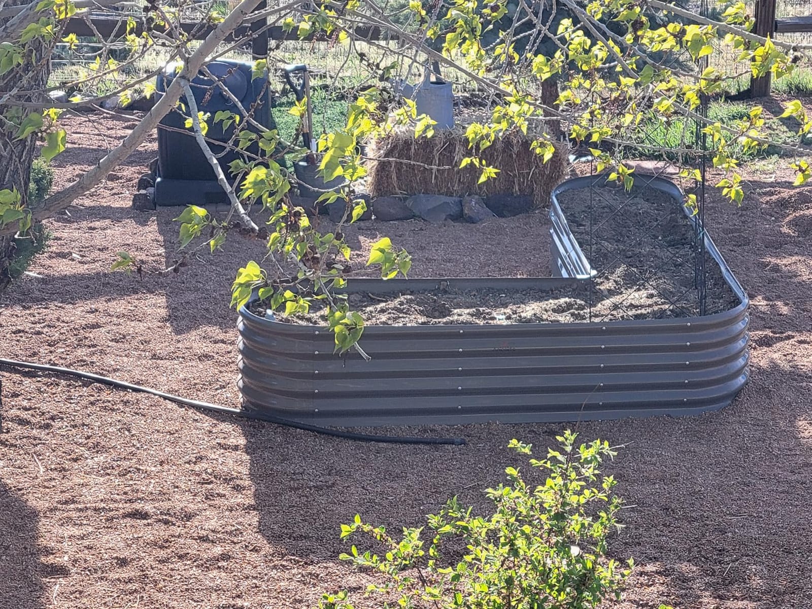Anleolife 8x4x2ft Oval Deep Root Galvanized Raised Garden Bed, Quartz Grey | 478-Gallon Capacity, 24in Soil Depth, Interior Bracing and Broad Crop-Row Space for Tomatoes, Peppers and Seasonal Rotation customer photo 2