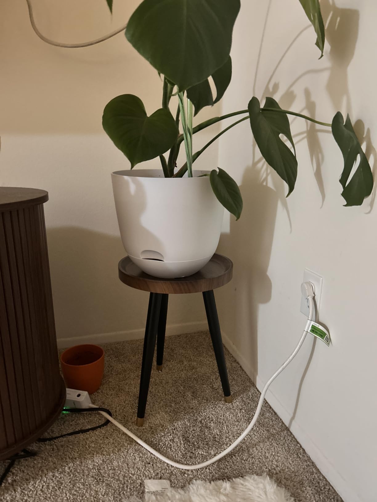 KGPLOME Plant Stand Indoor,Mid Century Walnut Wood Plant Table, Heavy Duty Metal Tall Flower Pot Stand,Modern Round Small Side End Table With Raised Design(12