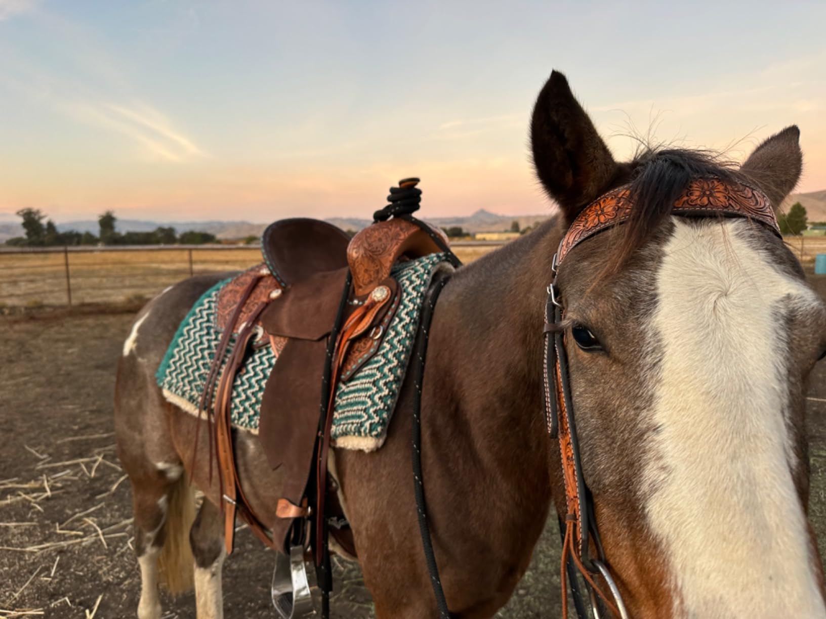 HILASON Flex Tree Western Saddle Brown Barrel Trail Horse customer photo 1
