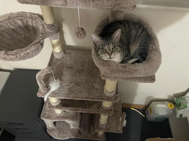 Gitelsnour Cat Tree, 63'' Cat Tower for Large Cats, Big Hammock GCT020G | Cat Condo, Cat Scratching Posts for Indoor Adult Cats, 4 Platforms (2 Big 2 Small), 2 Baskets, Sisal Rope, 4 Toys, Smoky Gray customer photo 1