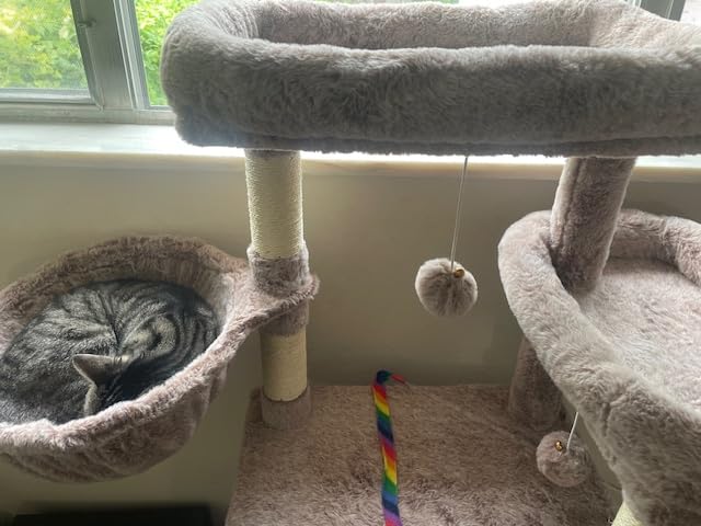 Gitelsnour Cat Tree, 63'' Cat Tower for Large Cats, Big Hammock GCT020G | Cat Condo, Cat Scratching Posts for Indoor Adult Cats, 4 Platforms (2 Big 2 Small), 2 Baskets, Sisal Rope, 4 Toys, Smoky Gray customer photo 2