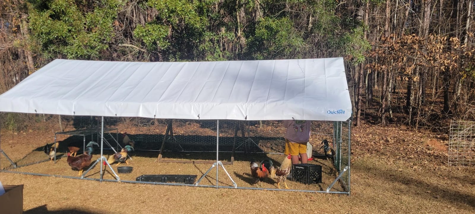 Quictent Large Metal Chicken Coop Run for 30+ Poultry w/Side Hardware Cloth | Waterproof Cover, Advanced Series Outdoor Walk-in Cage Hen Duck Rabbit Dog Pen Yard Farm House, 18x9x6.6FT customer photo 2