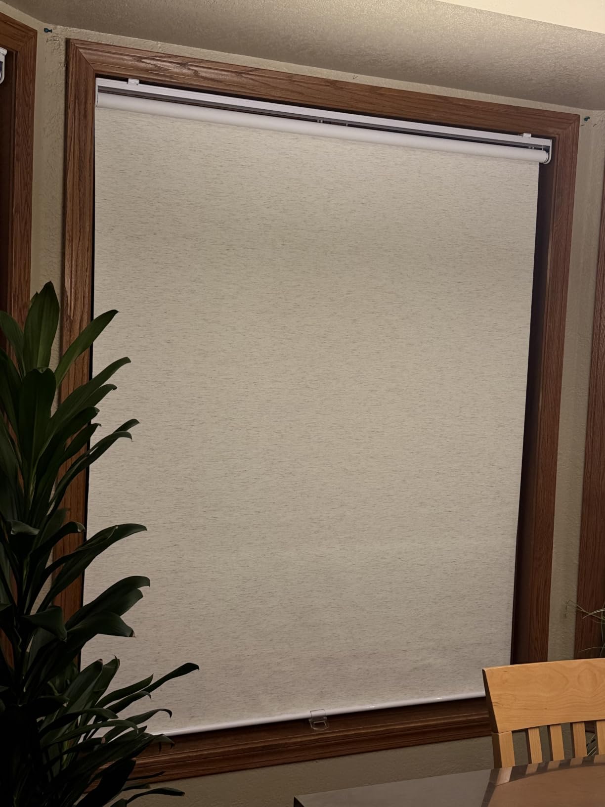 SUNOFF Blackout Cordless Roller Shades Blinds, 62
