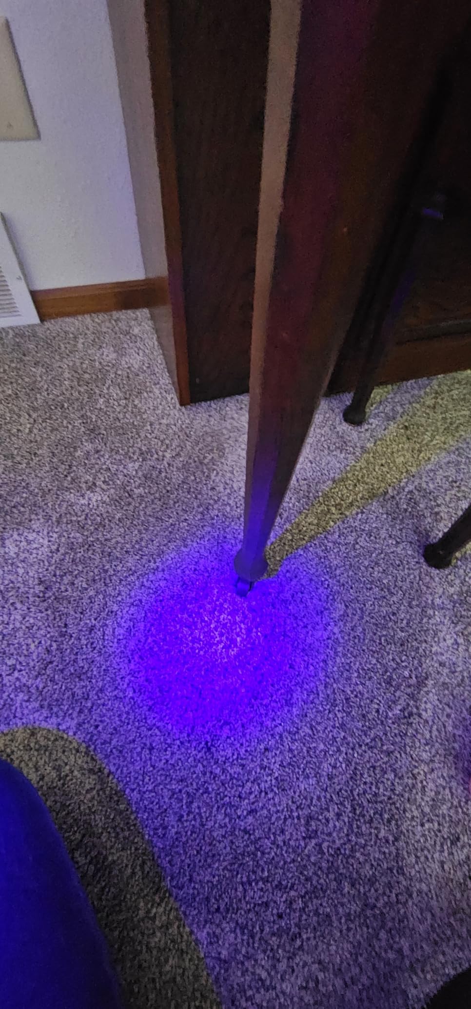 BISSELL Little Green Max Pet Portable Carpet Cleaner, 3909 | Includes crevice tool, pet hair removal & self-cleaning tough stain tool; car/auto detailing capability customer photo 1
