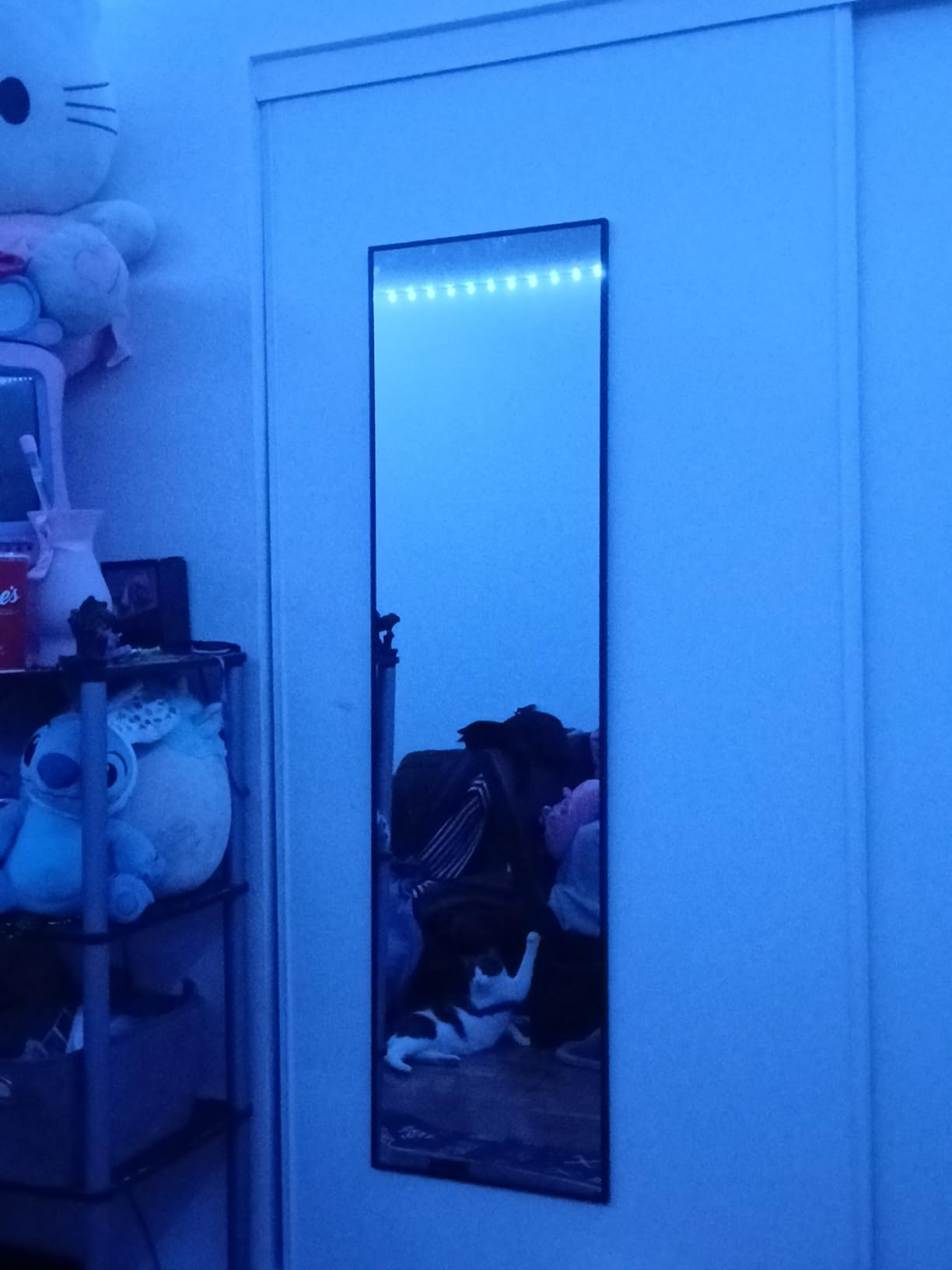 Delma Full Length Mirror with Stand, Black Floor Mirror | Aluminium alloy frame with HD float glass for distortion-free reflection. Free standing or wall mounted. customer photo 2