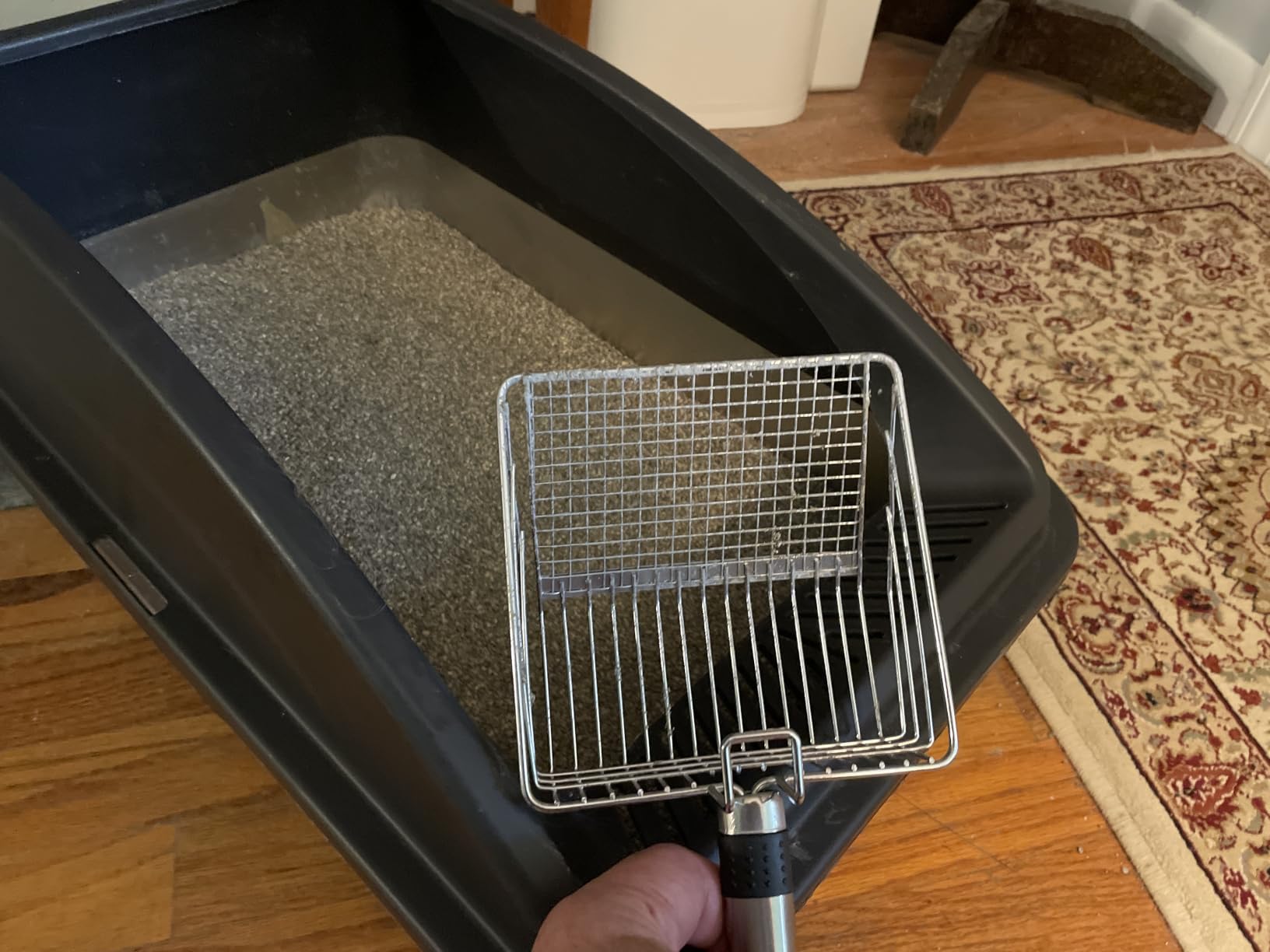AIPERRO Stainless Steel Litter Box | XL Enclosed Cat Litter Boxes with Lid | High Sided Metal Litter Box for Big Cats | Anti-Urine Leakage | Non-Stick & Easy to Clean | Includes Litter Mat & Metal Scoop customer photo 1
